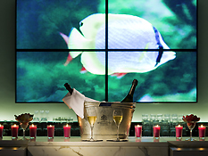 BAR DU CASINO