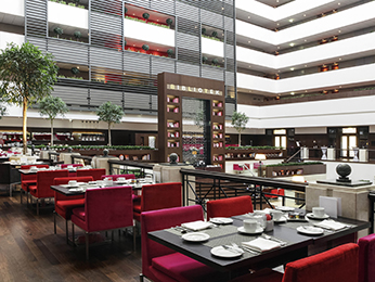 TERRASSE RESTAURANT