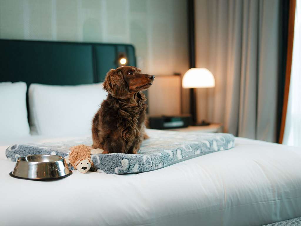 Luxury hotel Montreal Sofitel Montréal Golden Mile