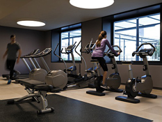 Hotel Basel Pullman Europe Close To The Messe Basel Exhibition Center And With Good Access For An Inspiring City Tour