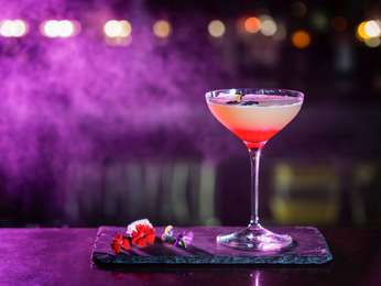 BACAR BAR