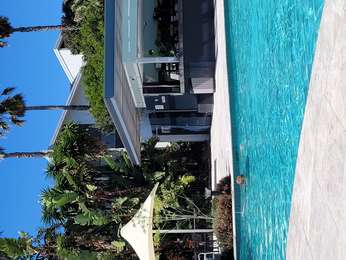 LAGOON BAR