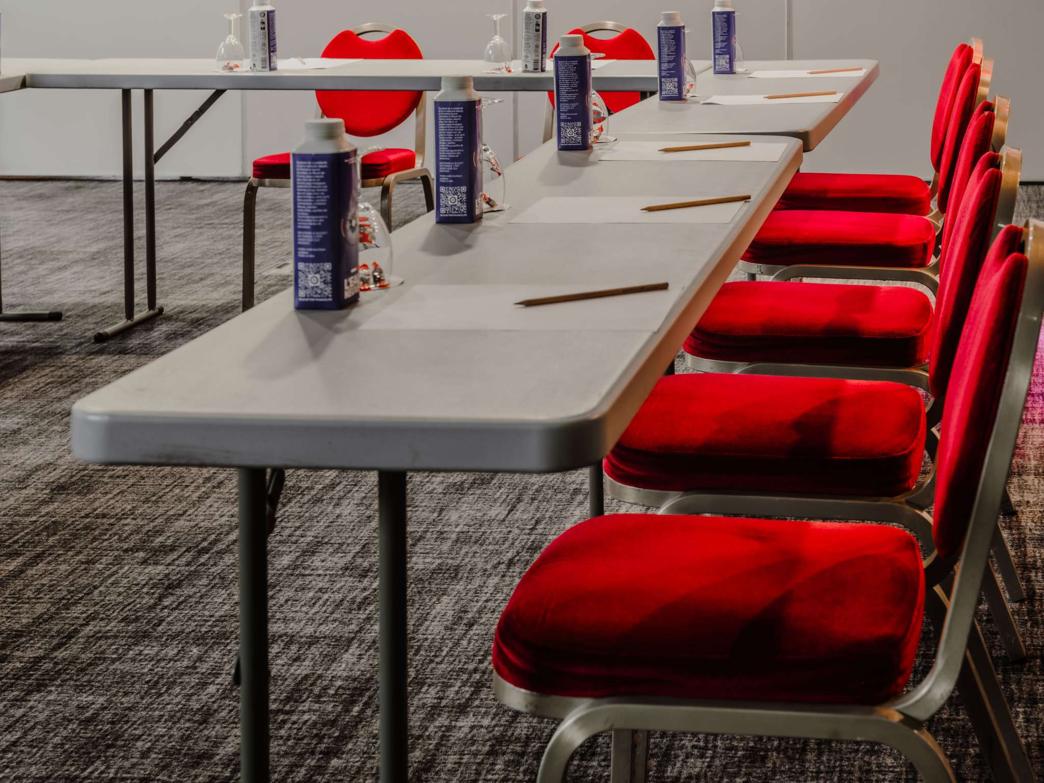 Foto - Mercure Annecy Sud