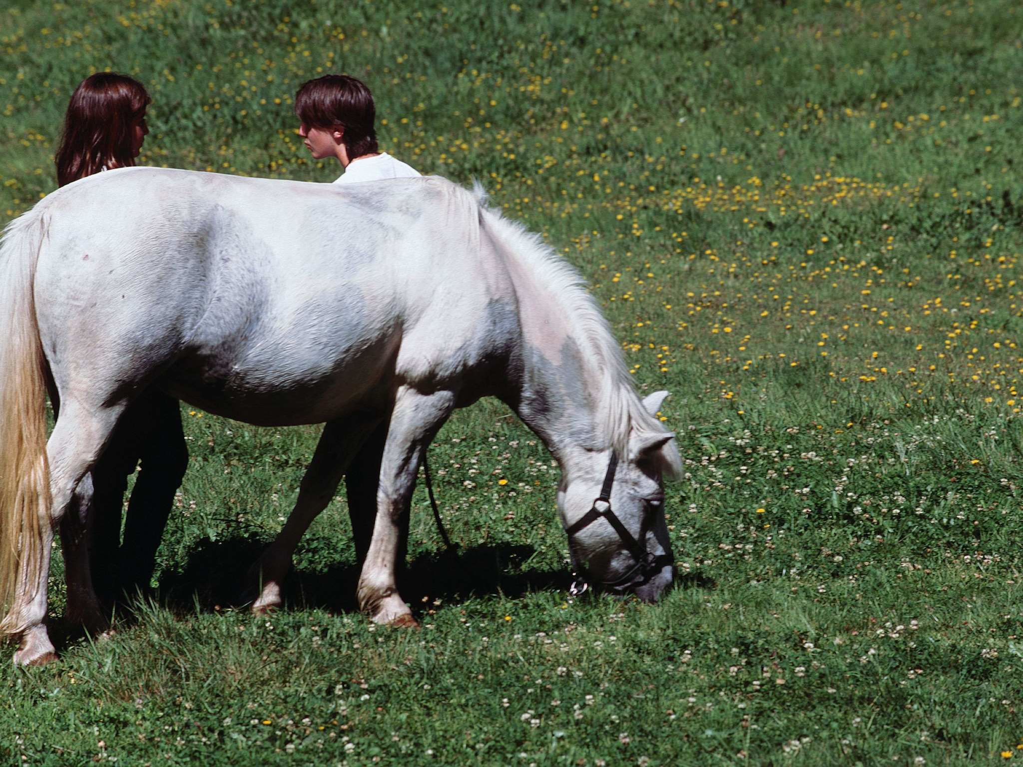 Foto - Mercure Annemasse Porte De Genève