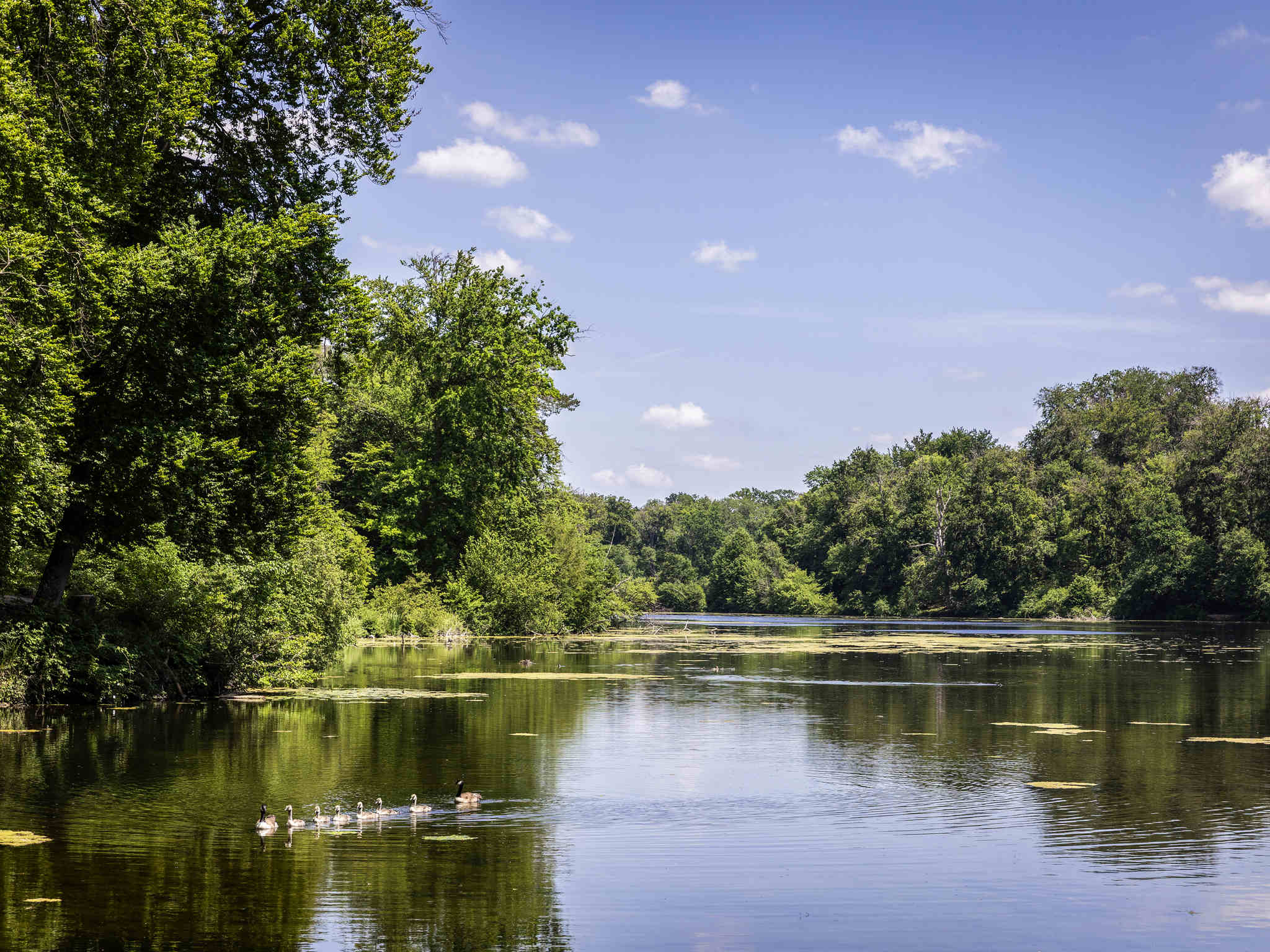 Photo - Hôtel Raspail Montparnasse