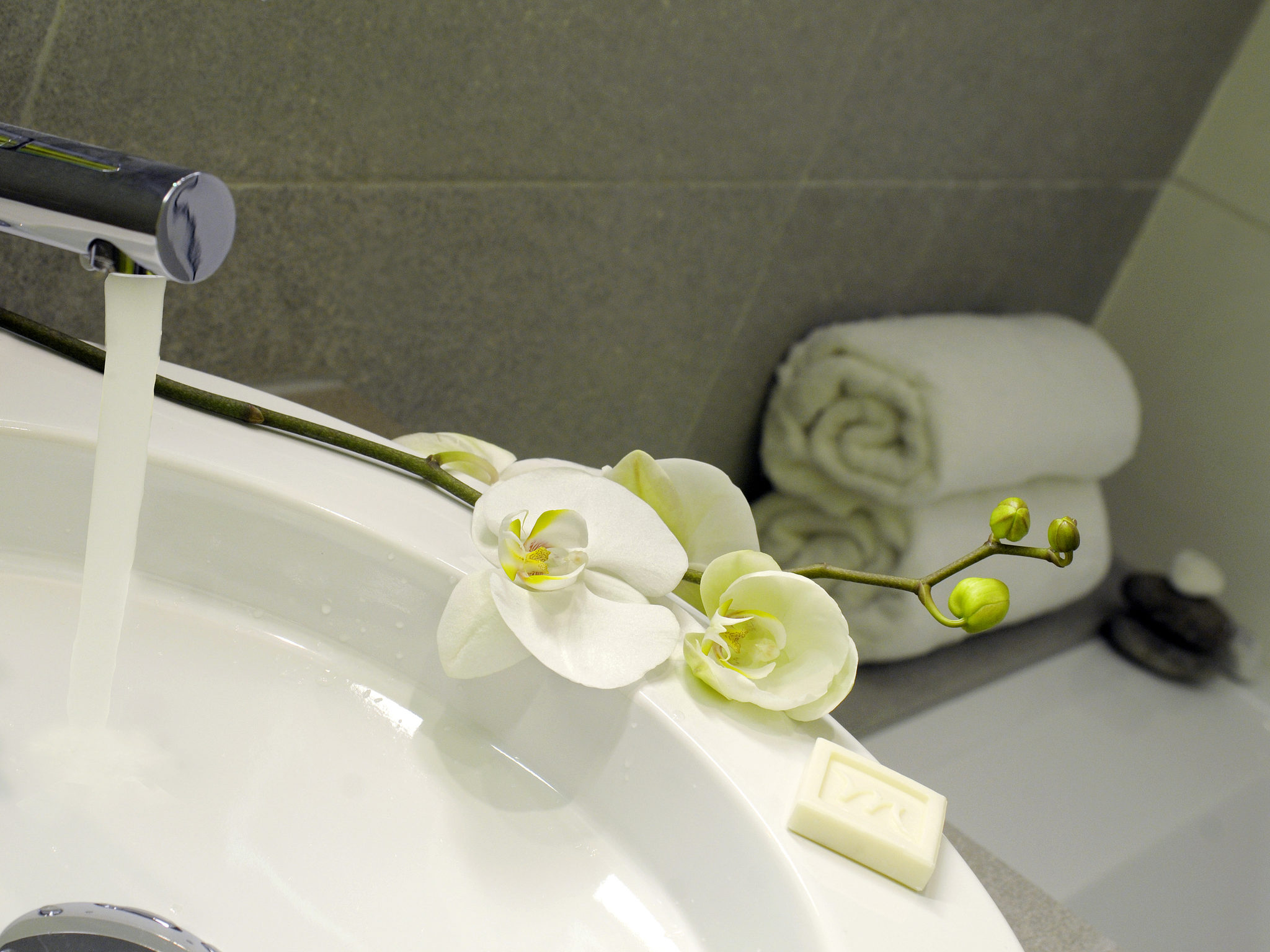 Photo - Mercure Nice Promenade Des Anglais