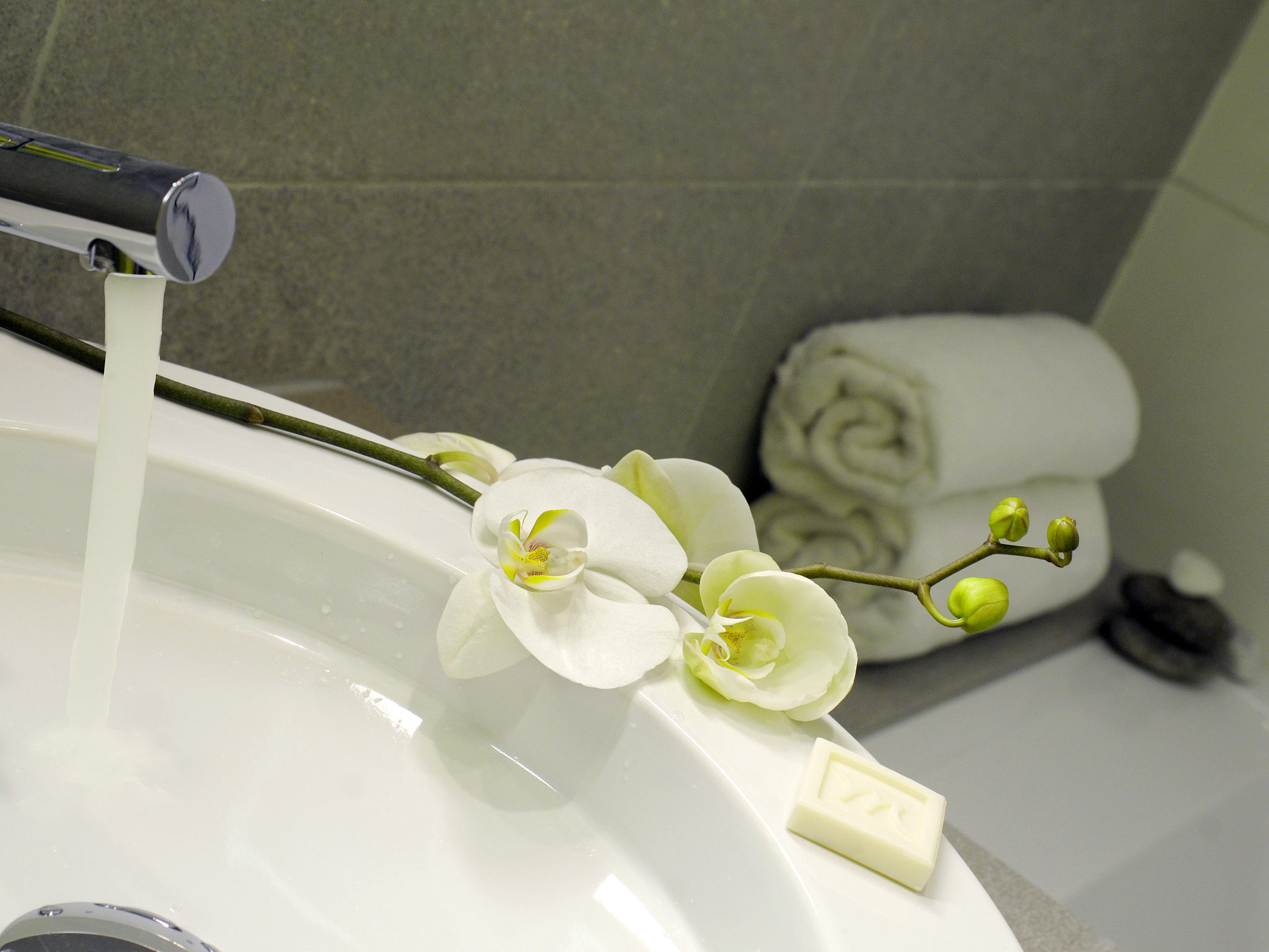 Photo - Mercure Nice Promenade Des Anglais