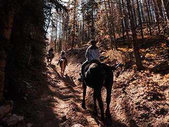 Photo - Hotel Novotel Domaine de Maffliers - Paris Val-d'Oise