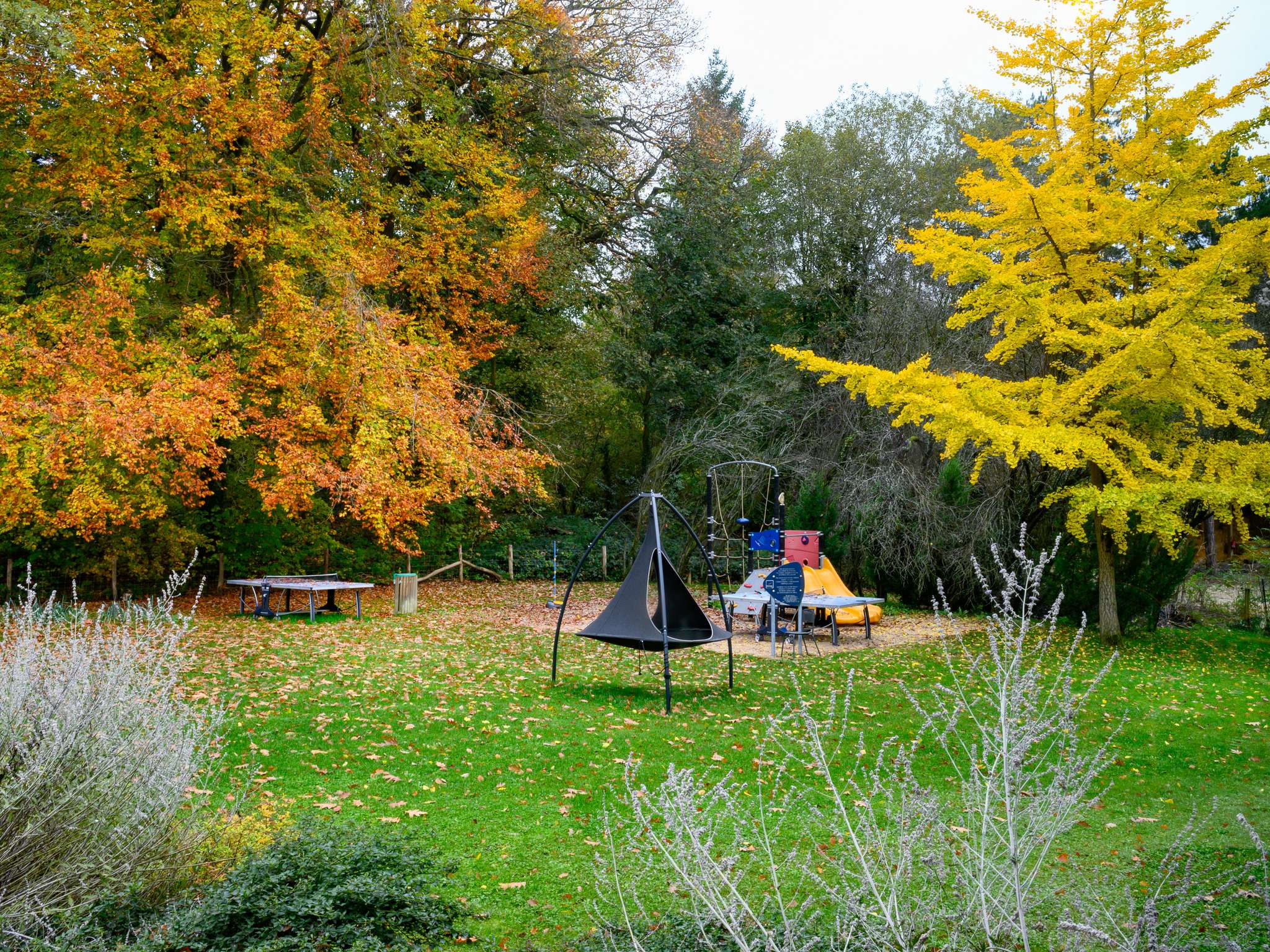 Foto - Hotel Novotel Domaine de Maffliers - Val-d'Oise