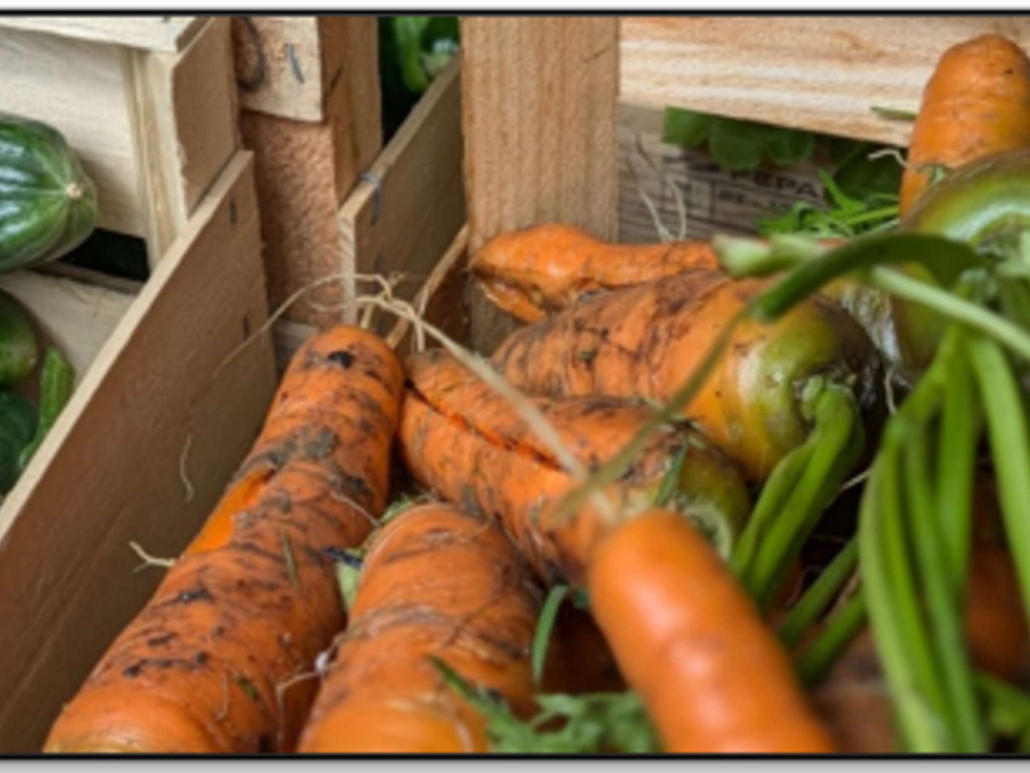 Photo - Hotel Novotel Evry Courcouronnes