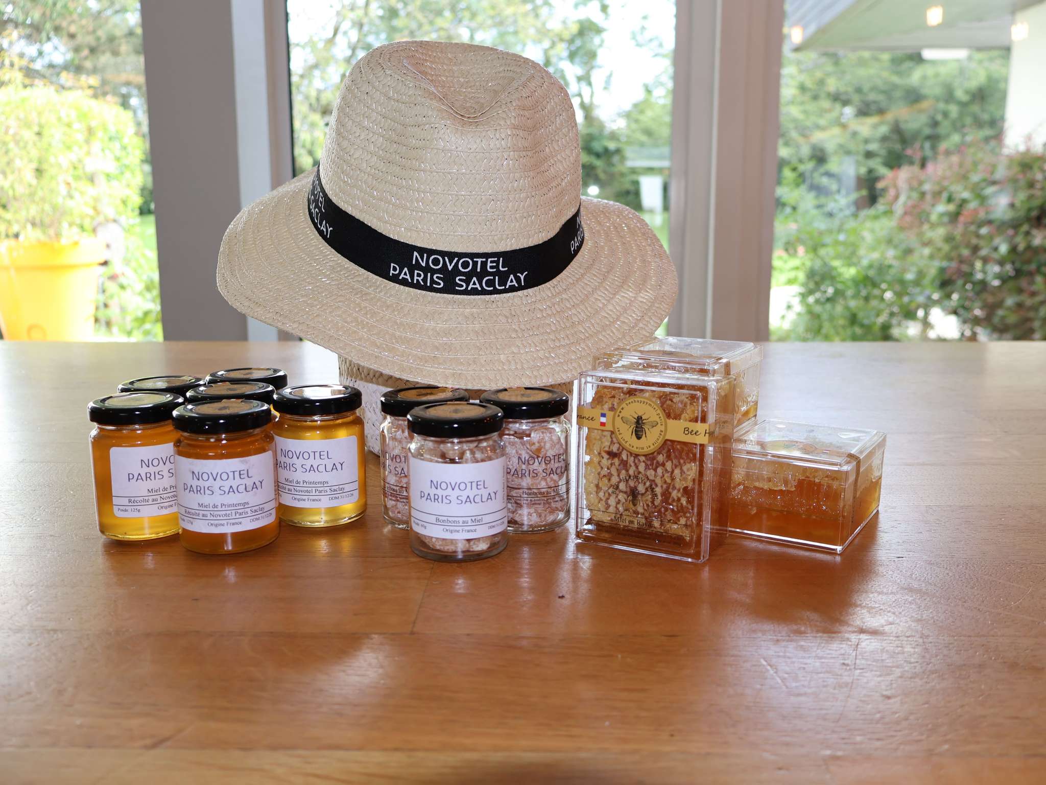 Foto - Novotel Saclay