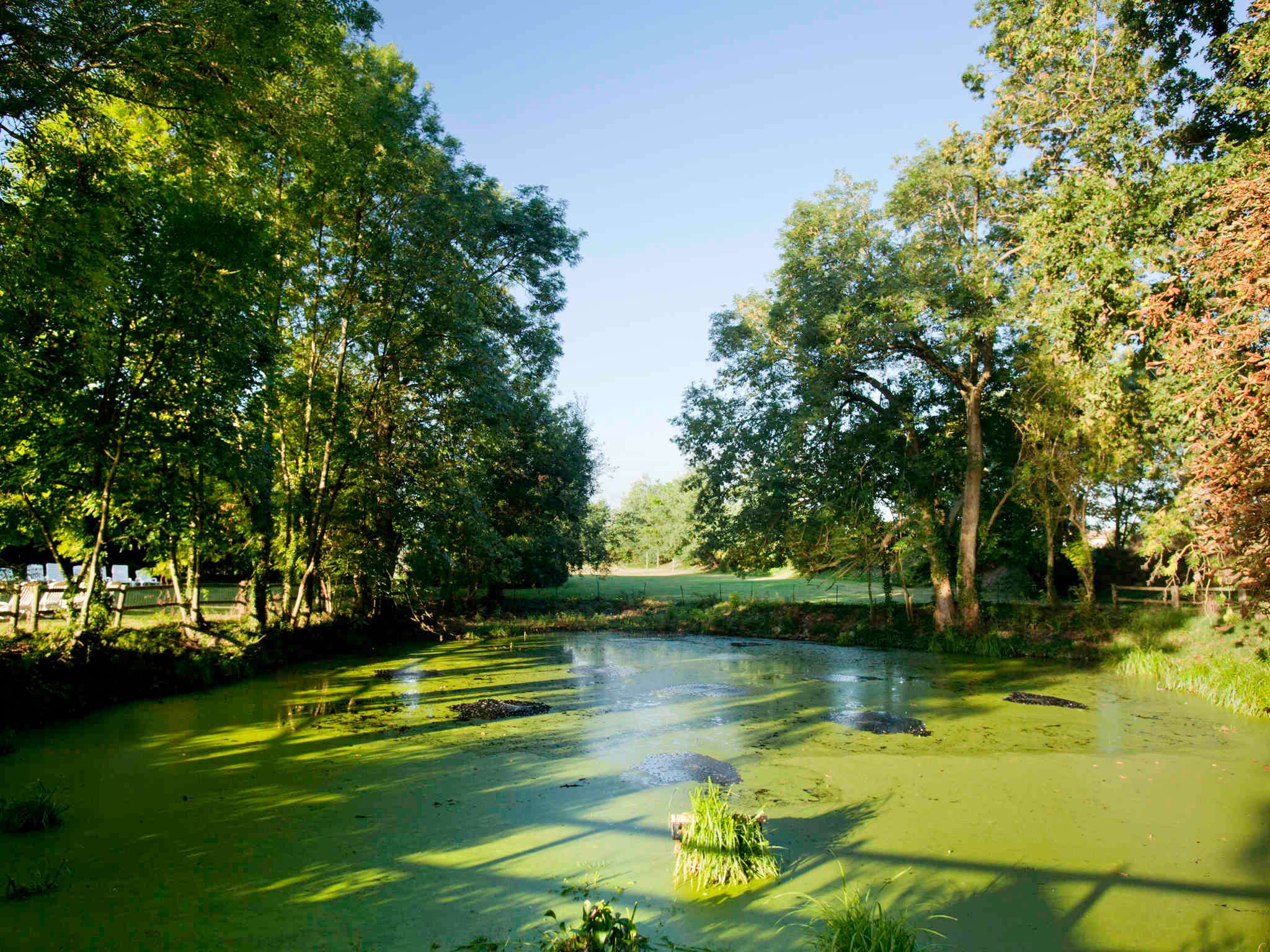 Foto - Novotel Saclay