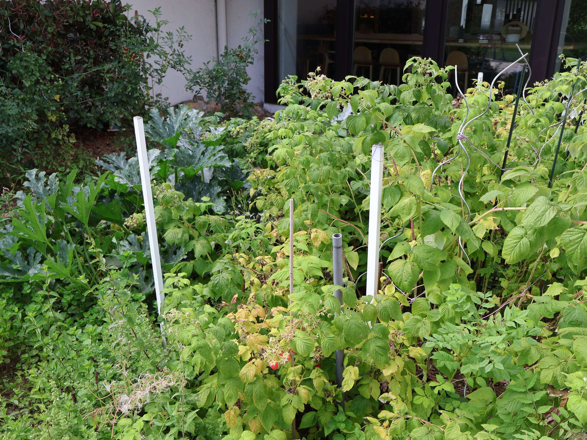 Foto - Novotel Saclay