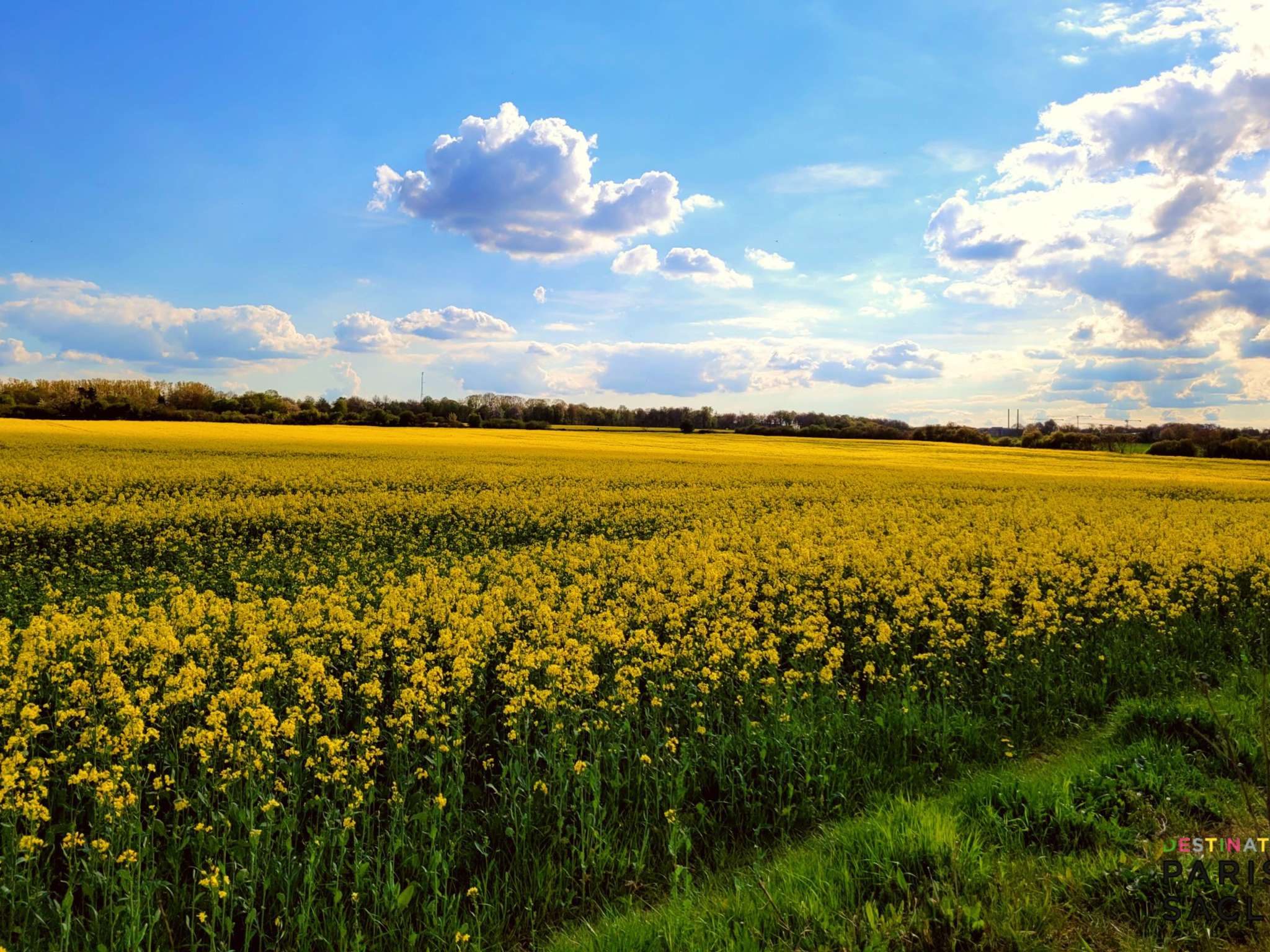 Foto - Novotel Saclay