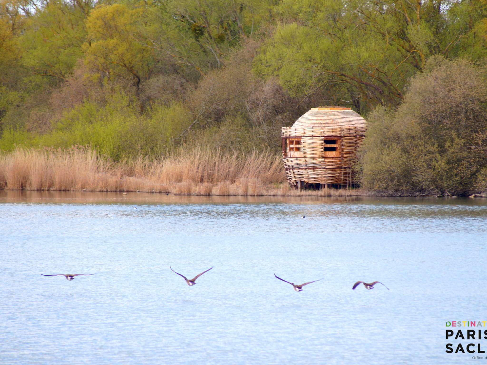 Foto - Novotel Saclay