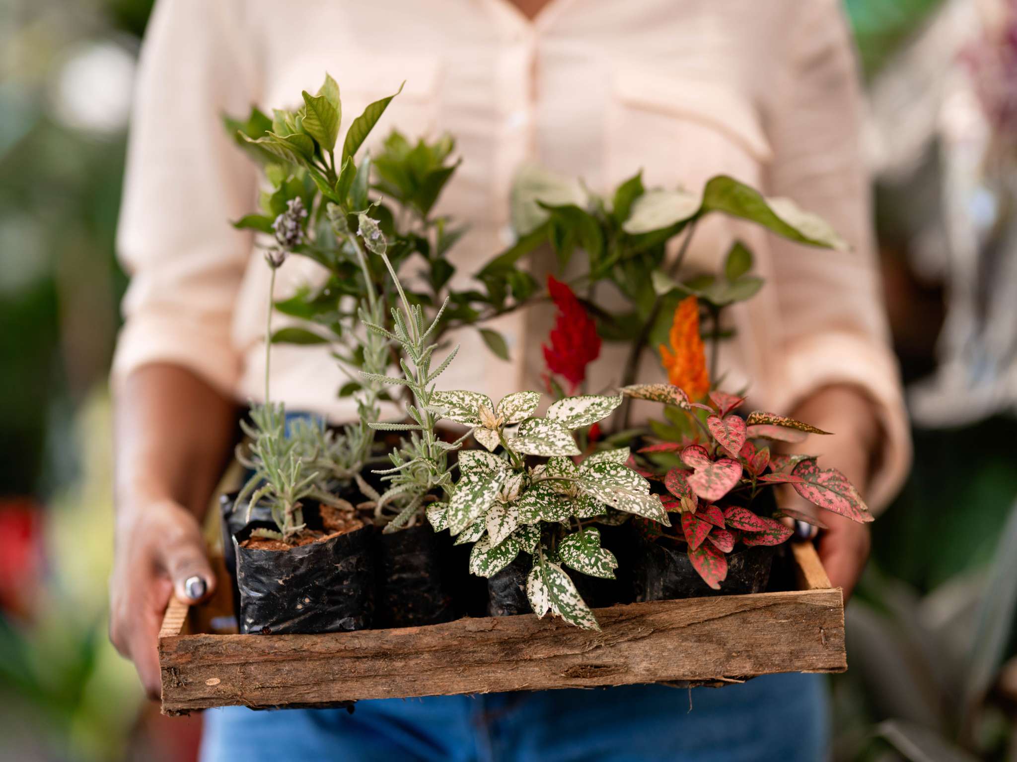 Photo - Mercure Aix en Provence Beaumanoir