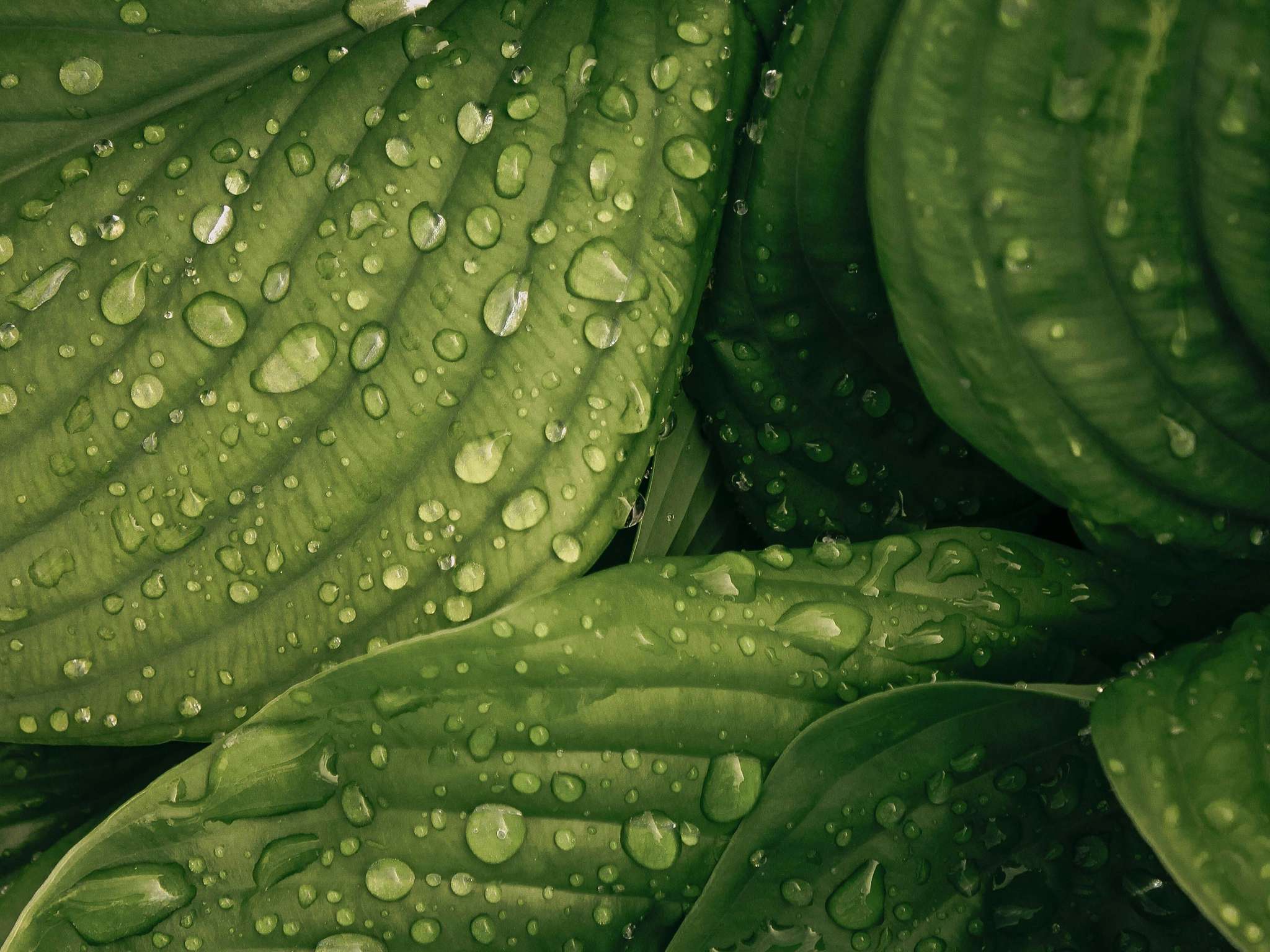 Photo - Mercure Aix en Provence Beaumanoir