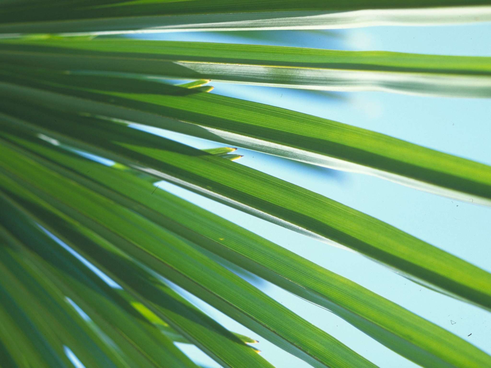 Foto - Novotel Aix-en-Provence Pont de L'Arc