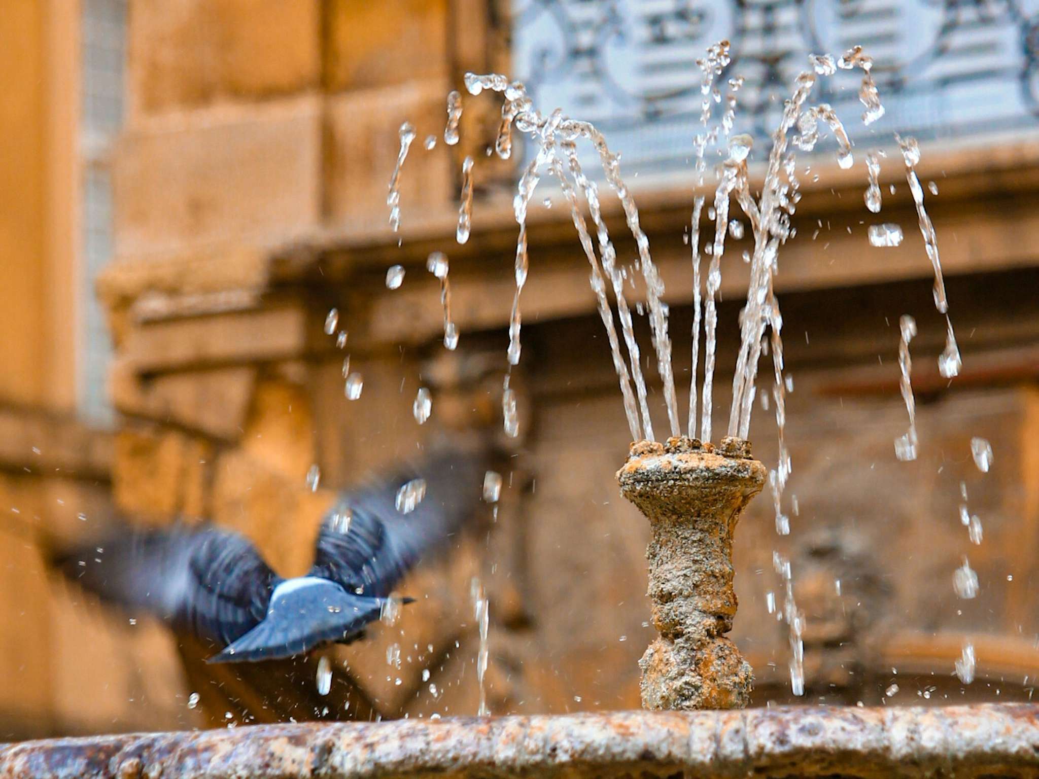Foto - Novotel Aix-en-Provence Pont de L'Arc