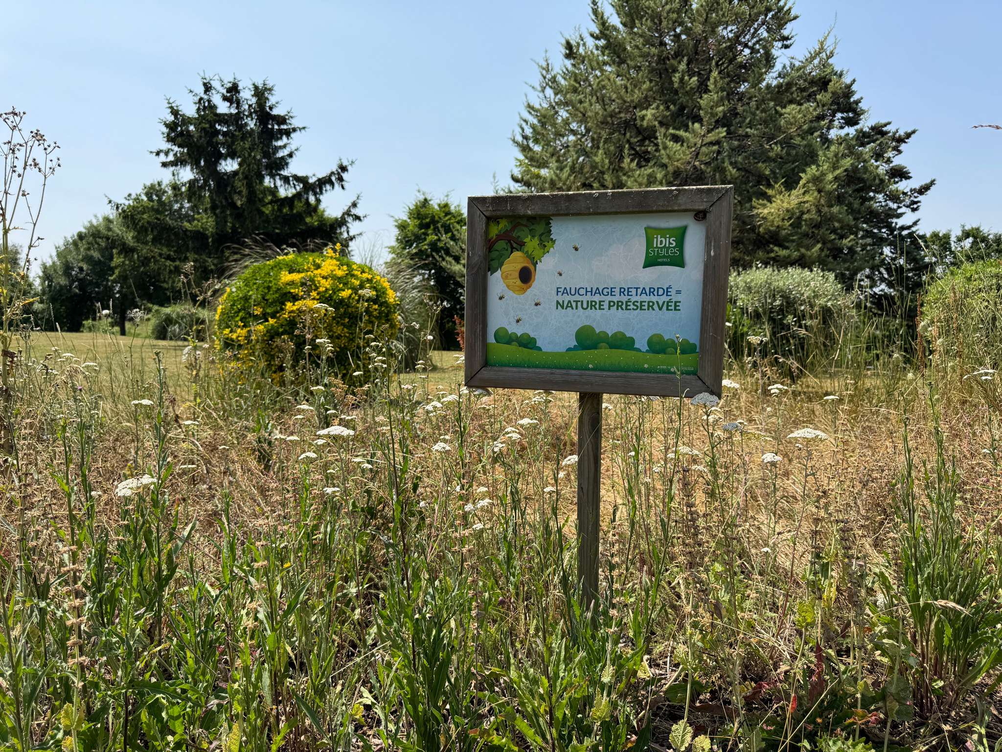 Foto - ibis Styles Angoulême Nord - hôtel restaurant