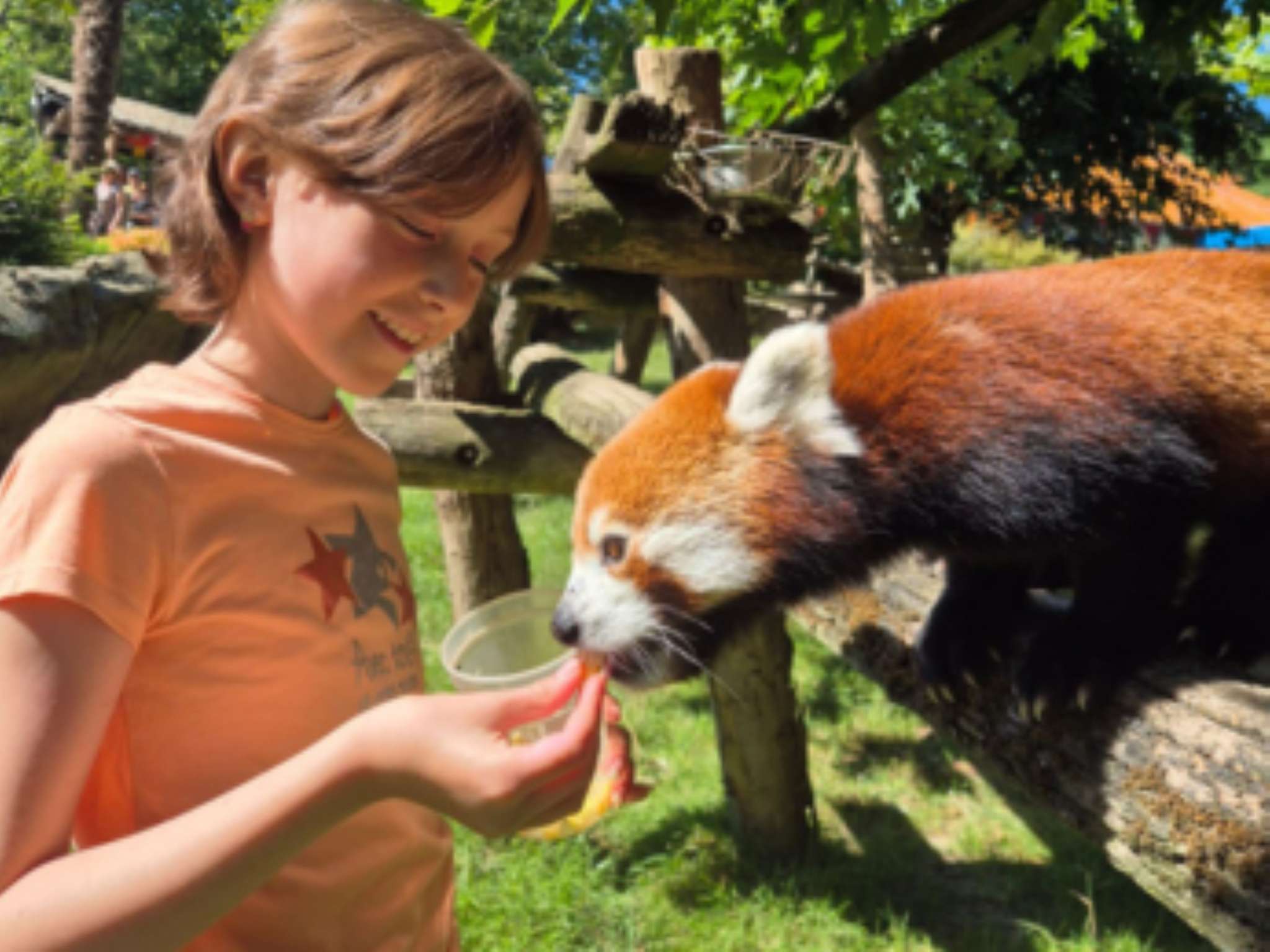 Foto - ibis Styles Avignon Sud