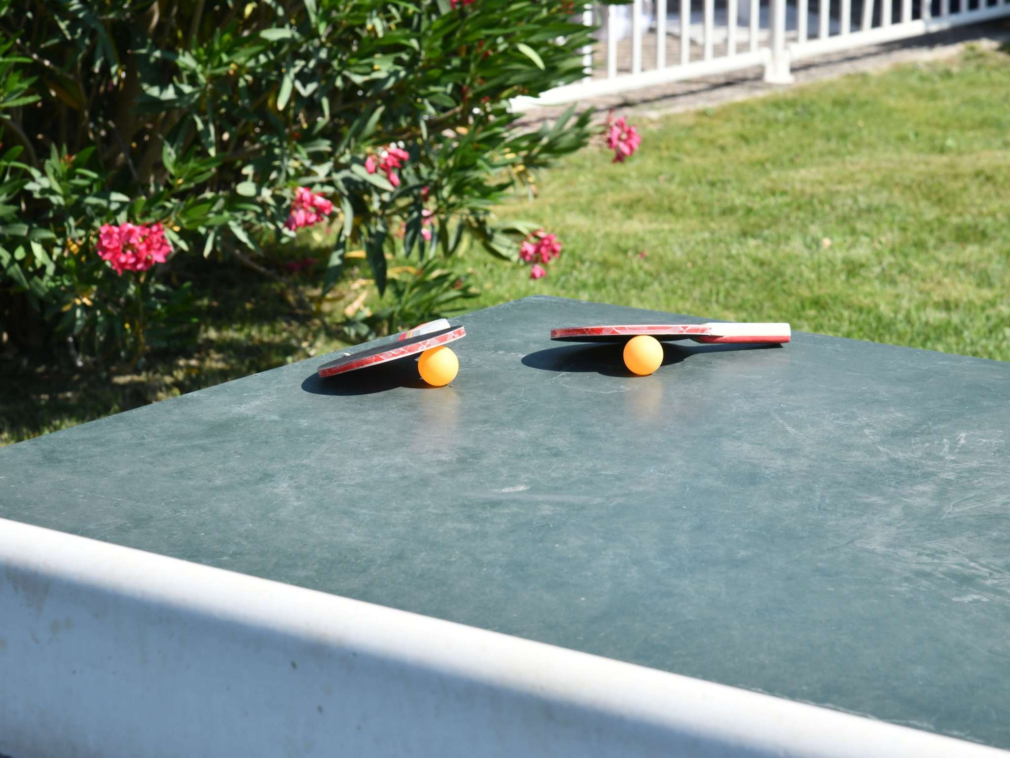 Photo - ibis Styles Avignon Sud