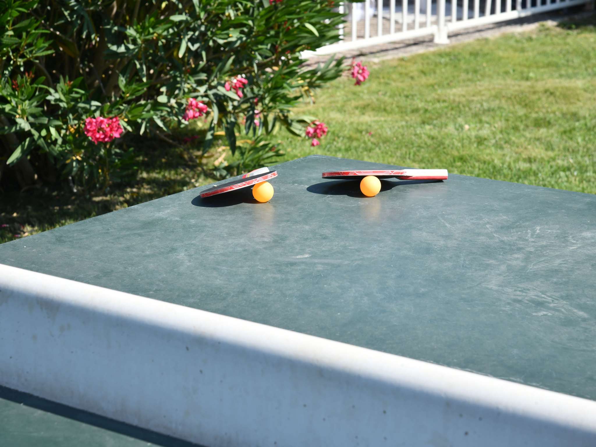 Foto - ibis Styles Avignon Sud