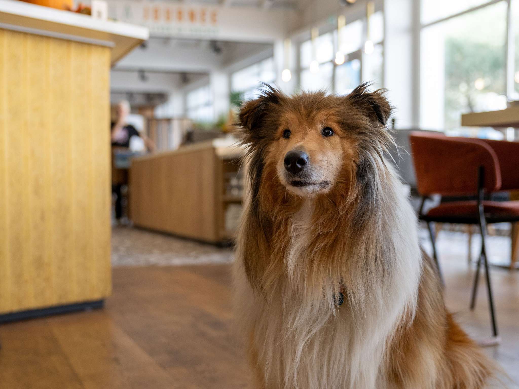 Foto - Novotel Narbonne Sud A9/A61