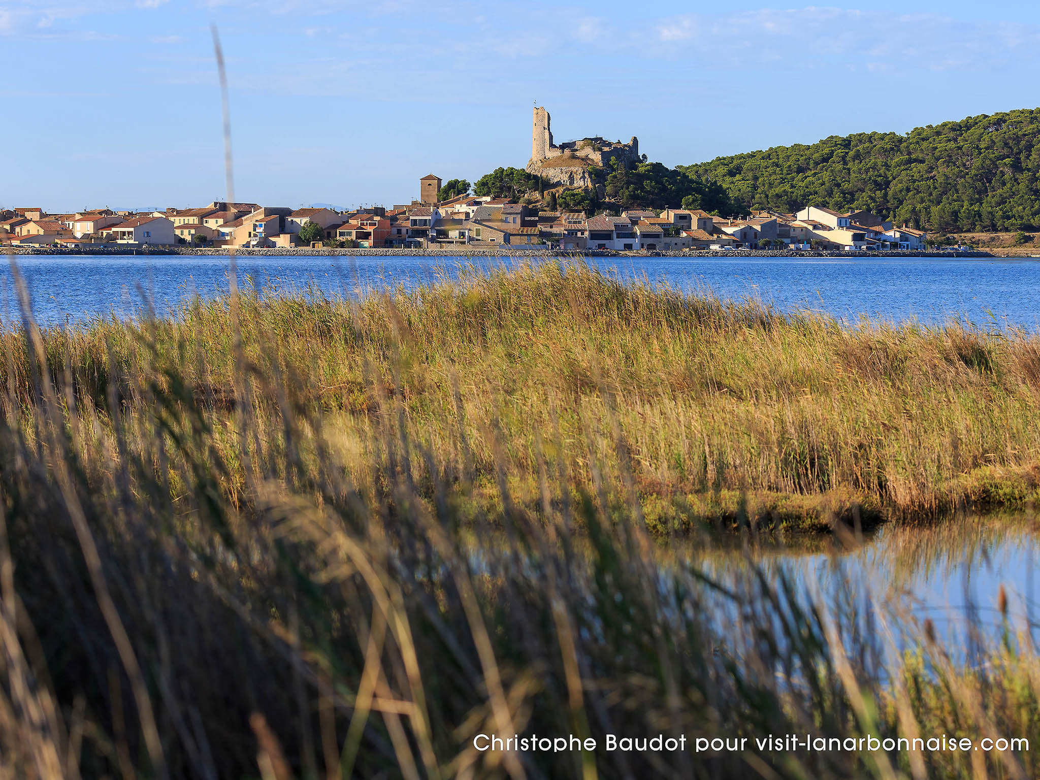 Photo - Novotel Narbonne Sud A9/A61