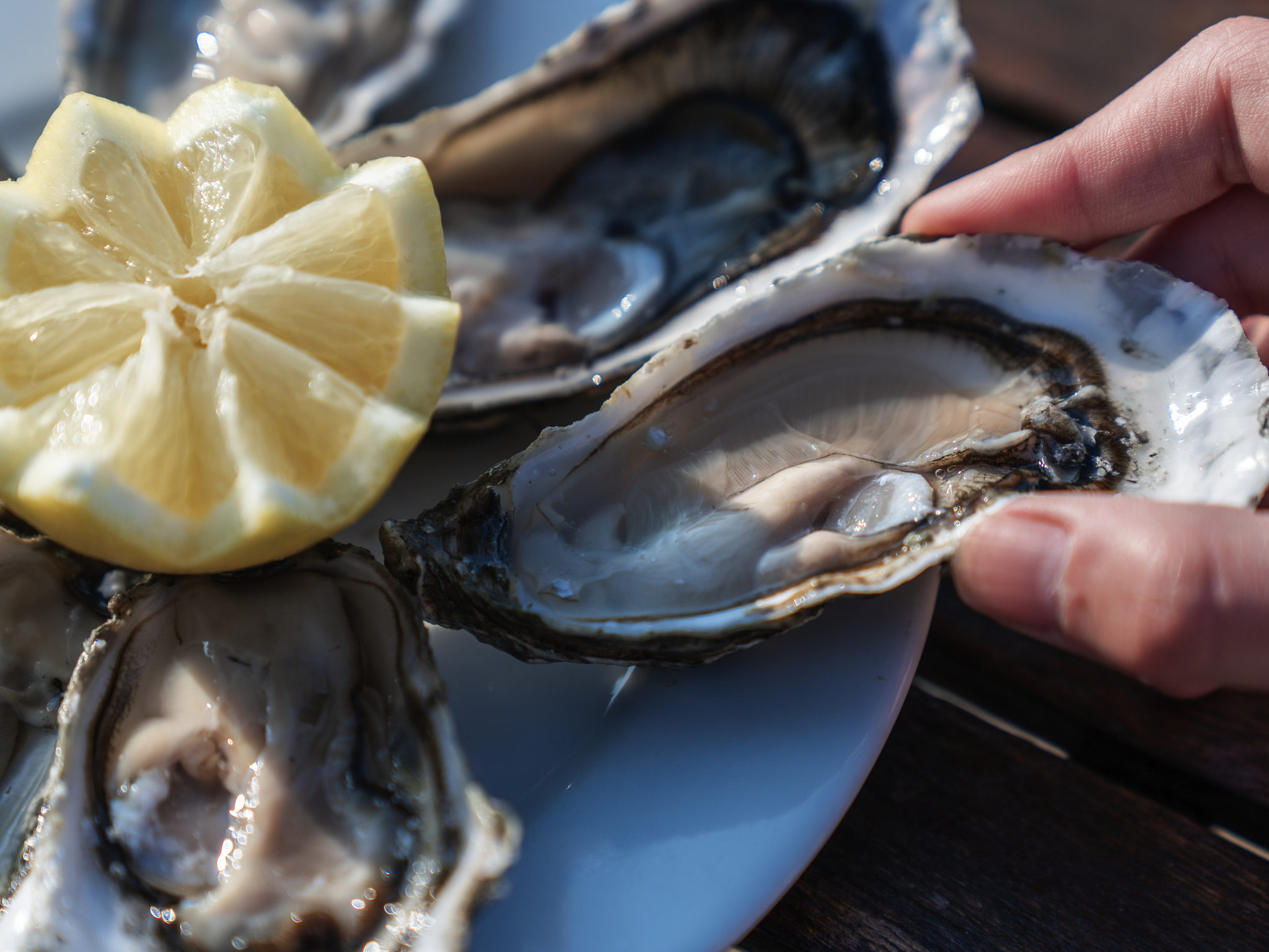 Foto - Novotel Thalassa Ile d'Oléron