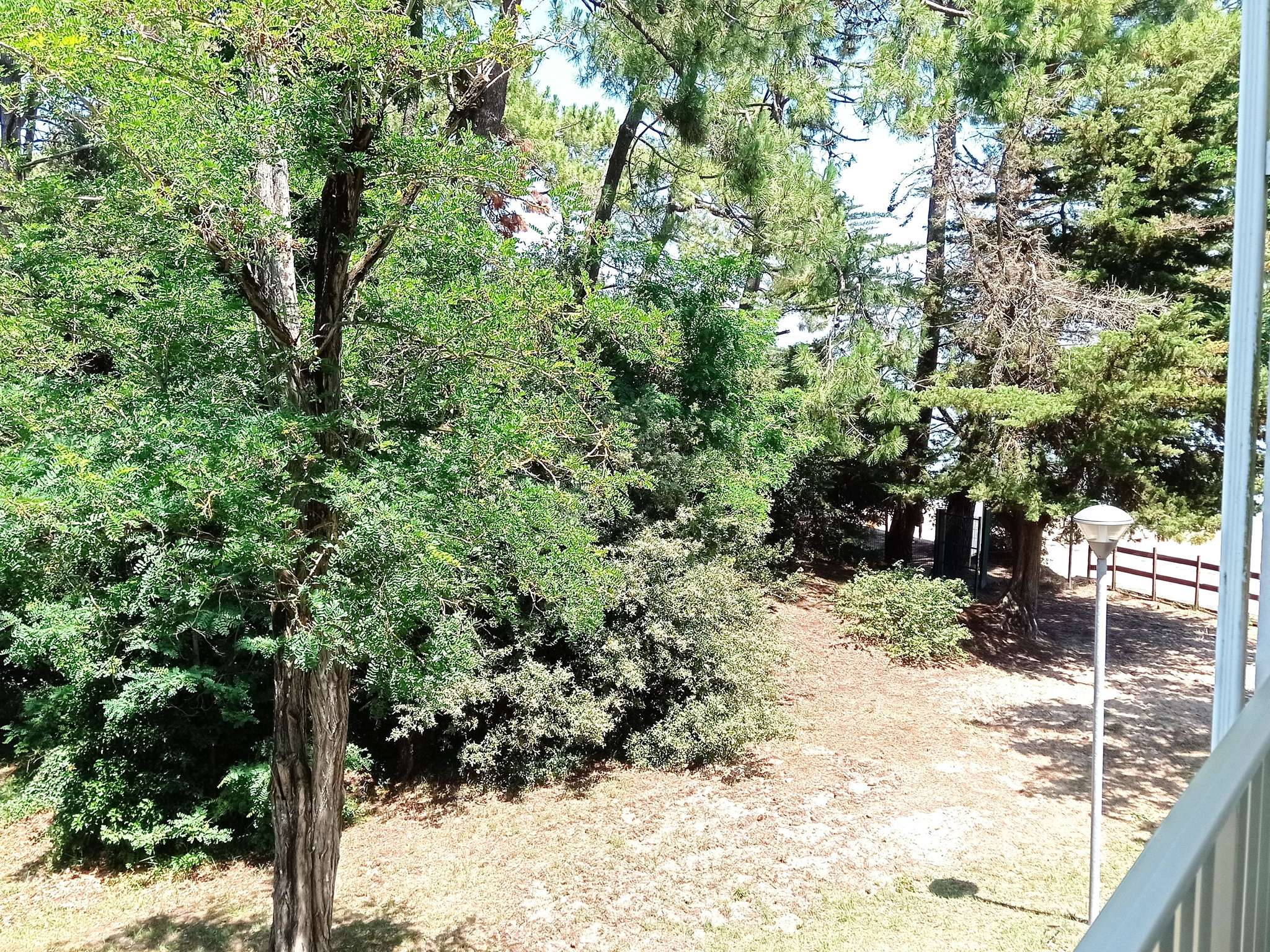 Foto - Novotel Thalassa Ile d'Oléron