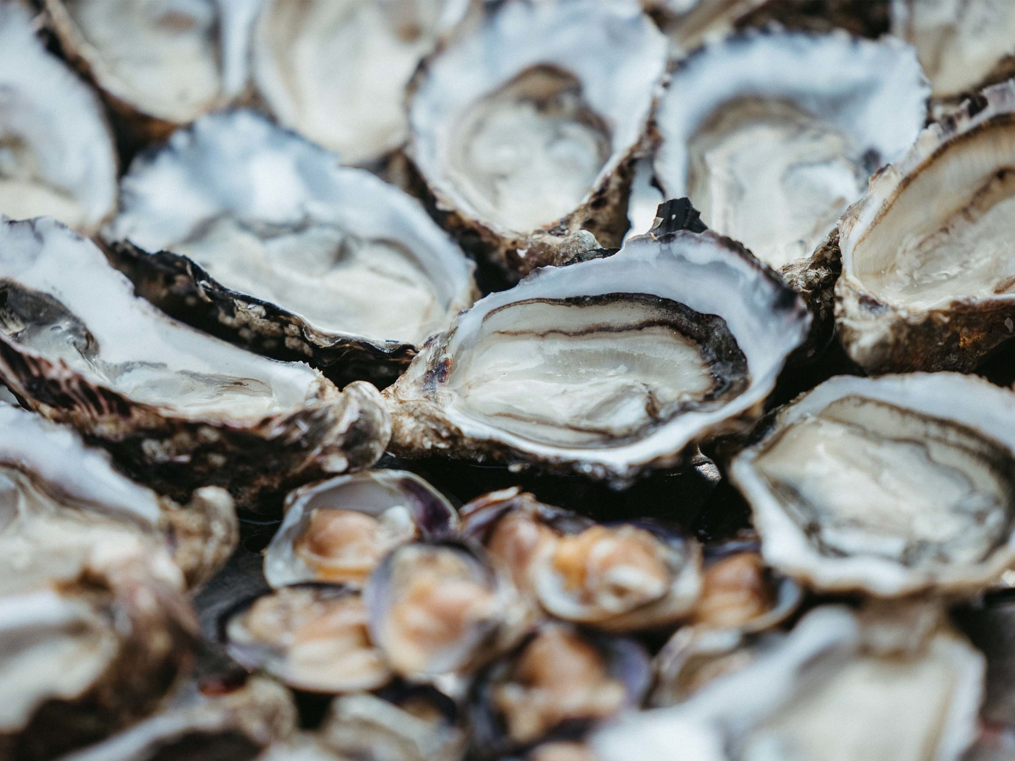 Foto - Novotel Thalassa Ile d'Oléron