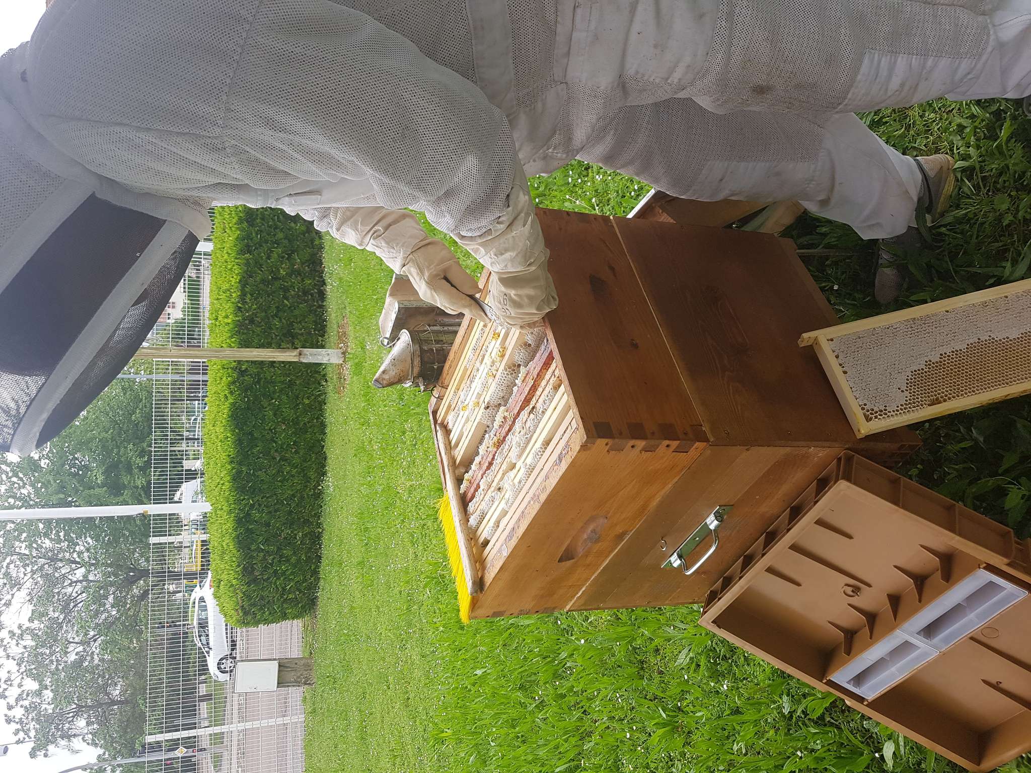 Foto - Novotel Dijon Sud