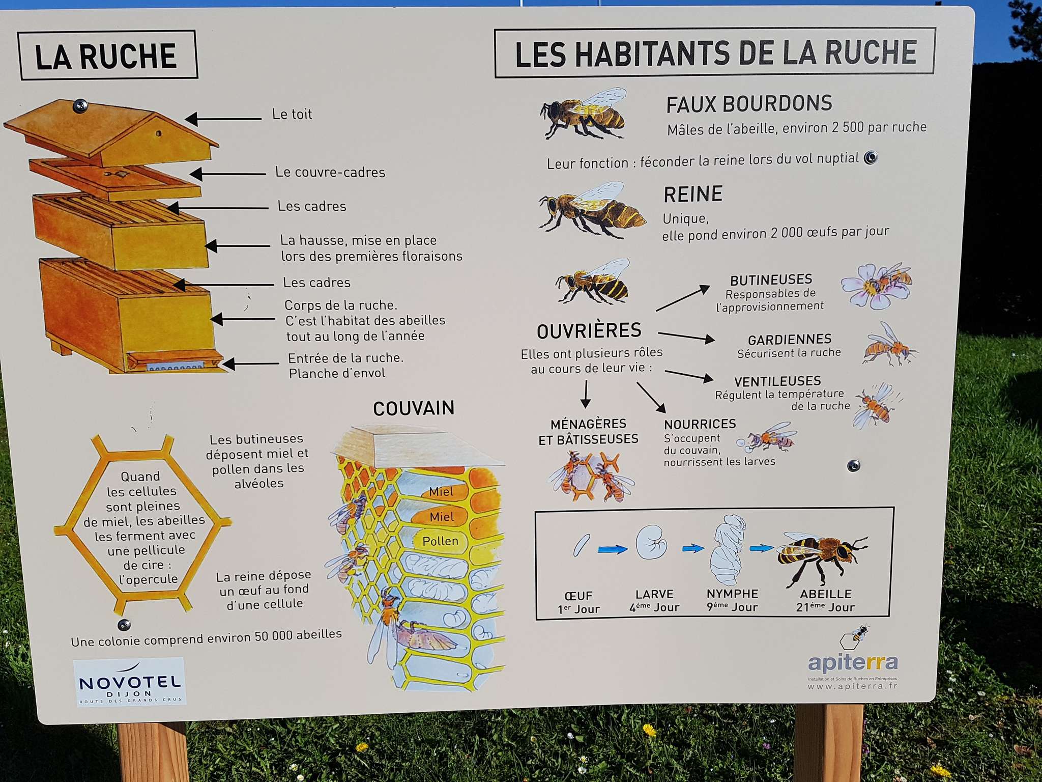 Foto - Novotel Dijon Sud