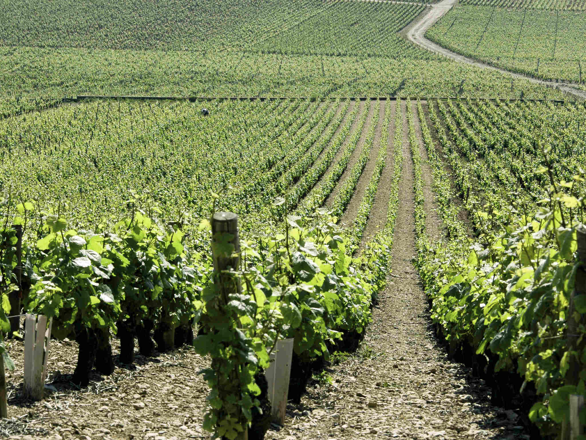 Foto - Novotel Dijon Sud