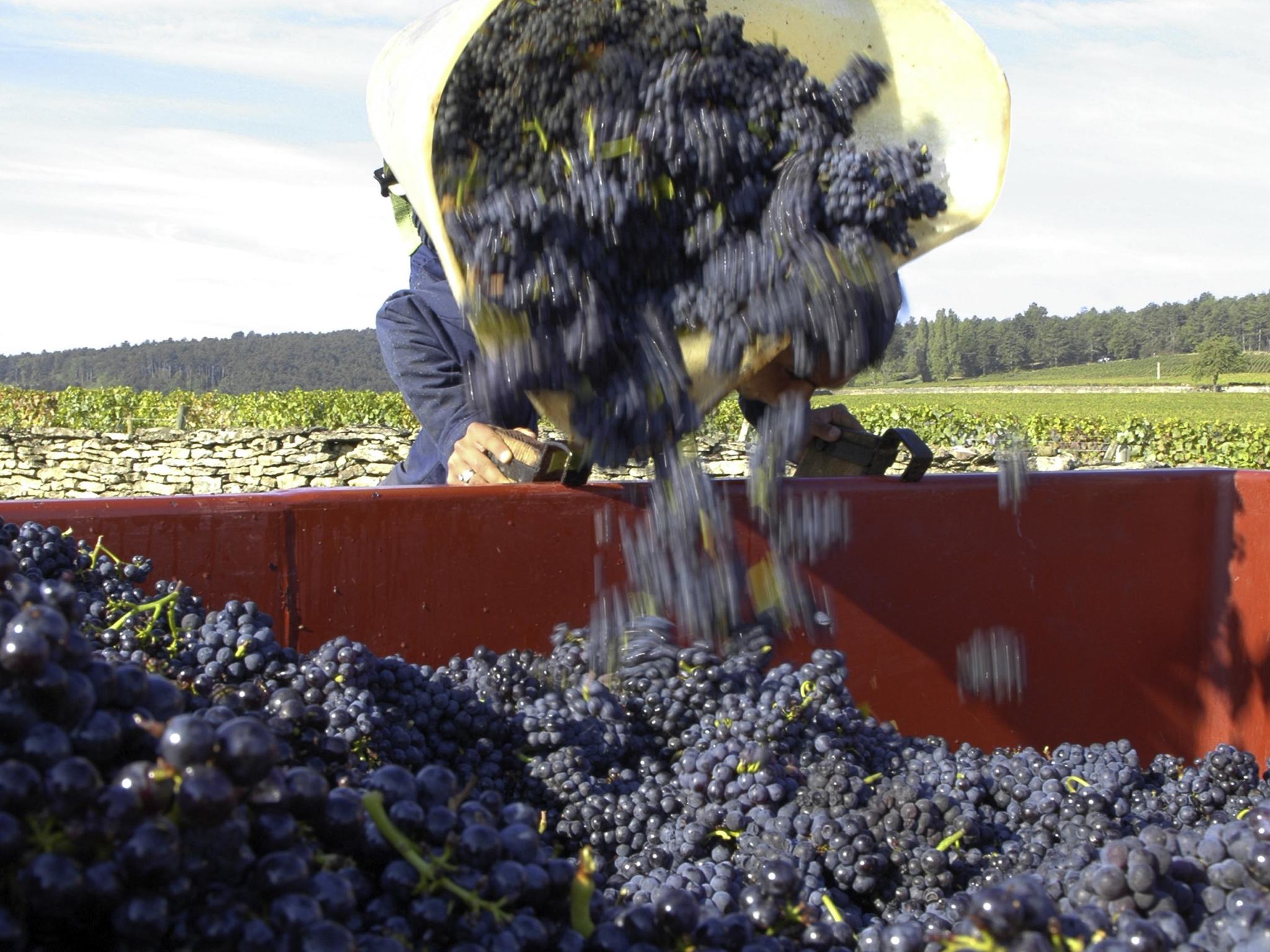 Foto - Novotel Dijon Sud