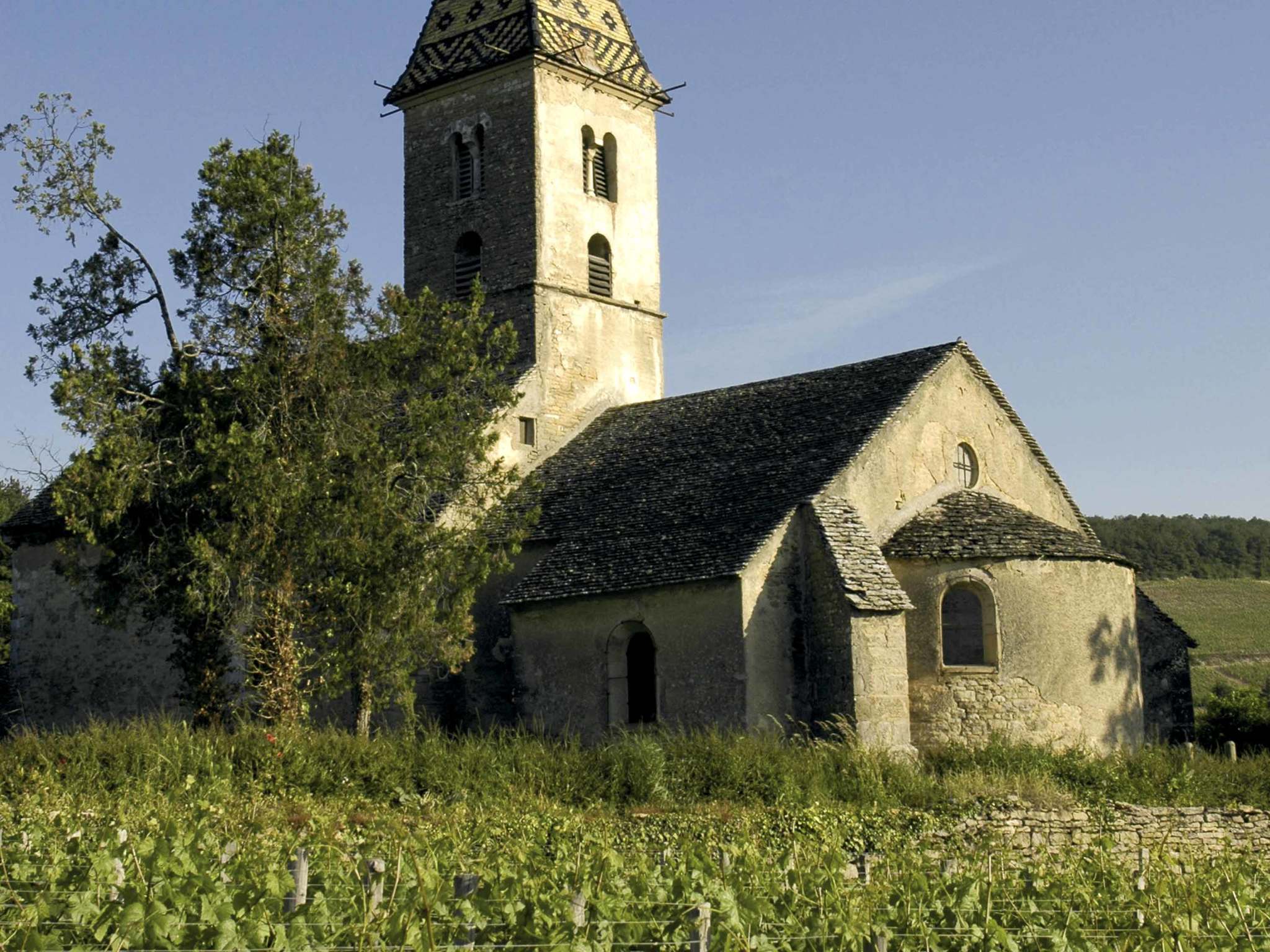 Foto - Novotel Dijon Sud