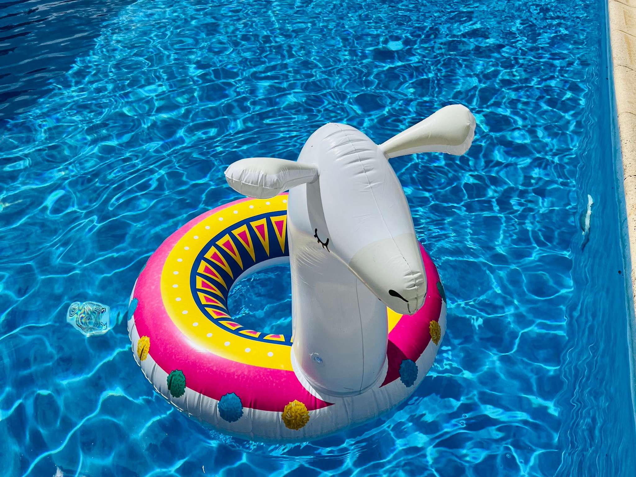 Foto - Novotel Dijon Sud