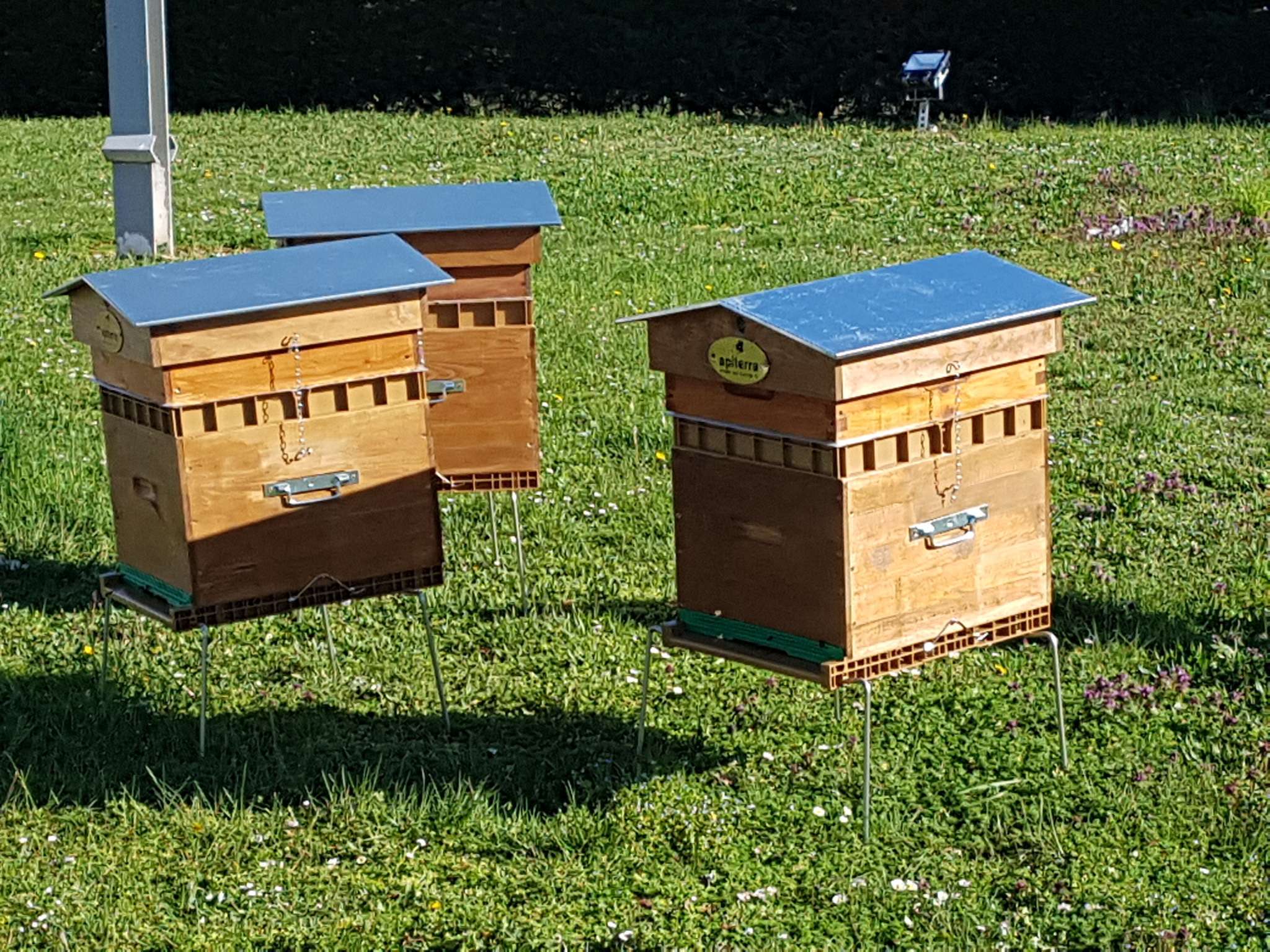 Foto - Novotel Dijon Sud