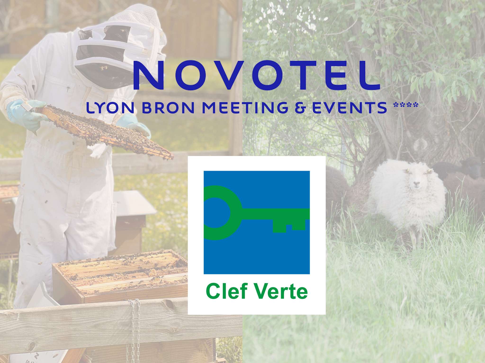 Foto - Novotel Lyon Bron Meeting & Events