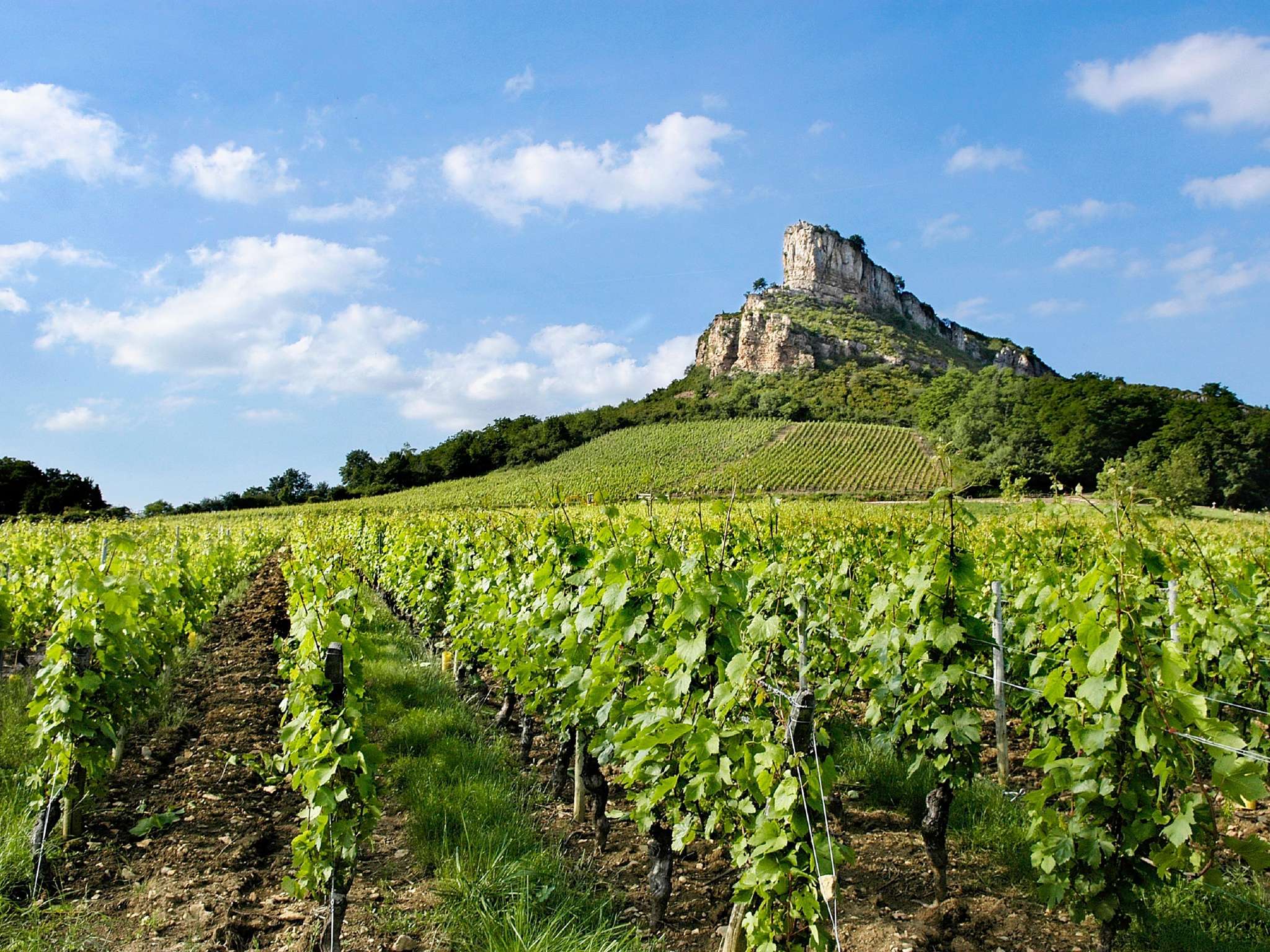 Foto - Novotel Macon Nord - Porte de Bourgogne