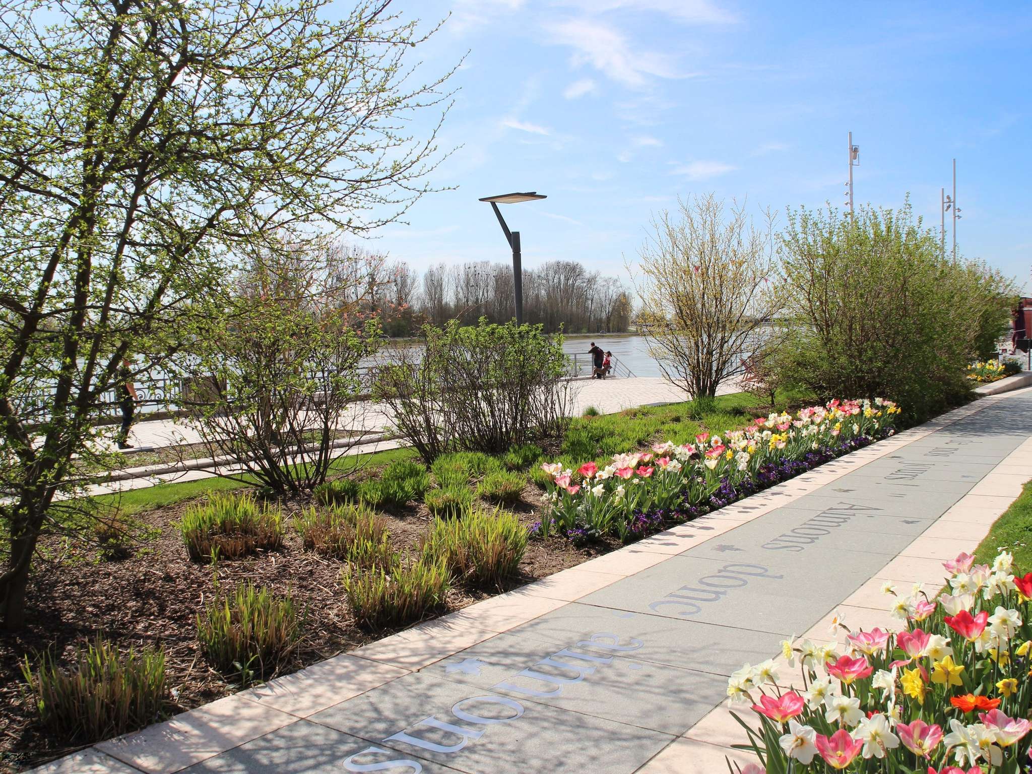 Foto - Novotel Macon Nord - Porte de Bourgogne