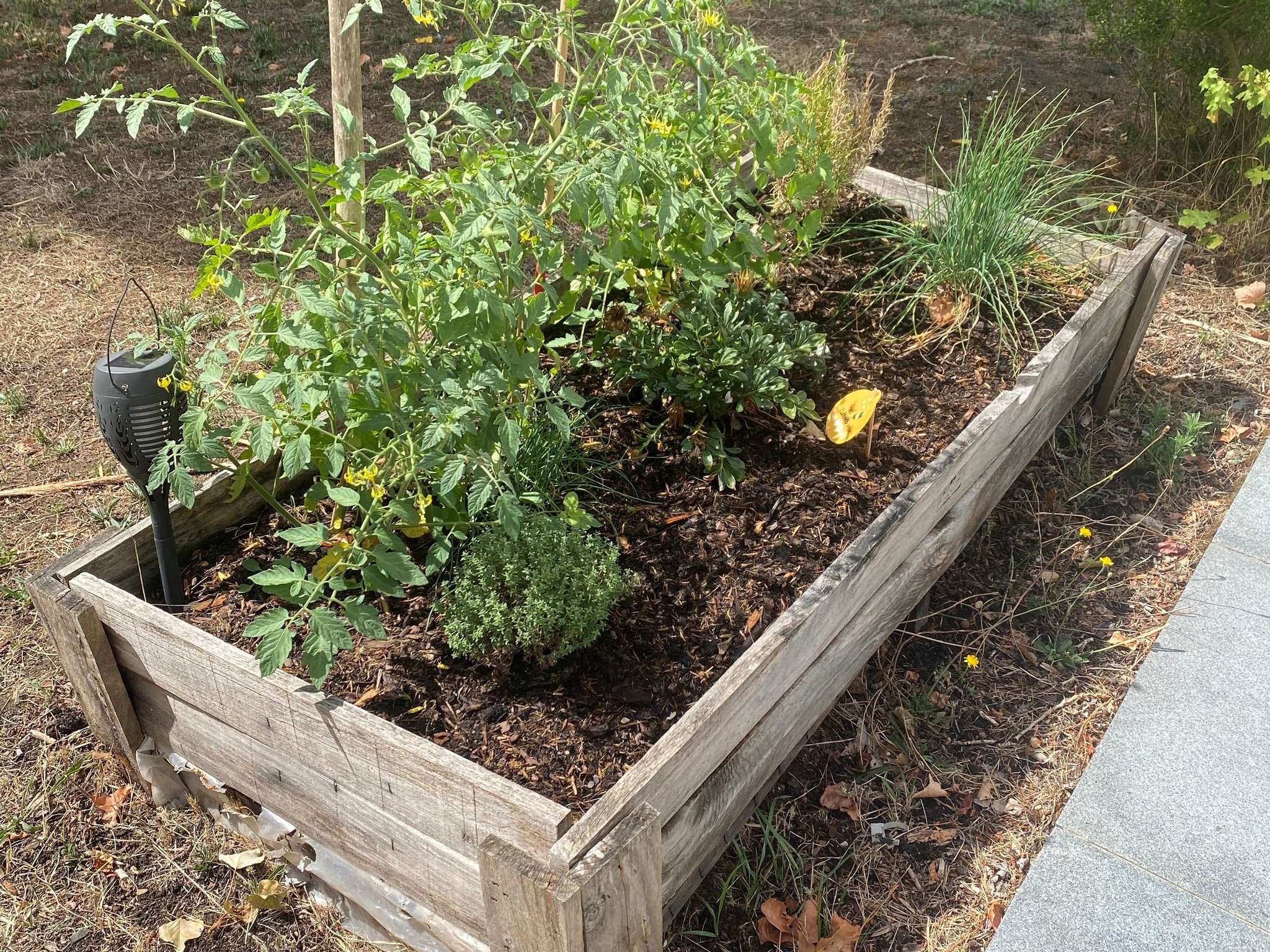 Photo - Novotel Le Mans