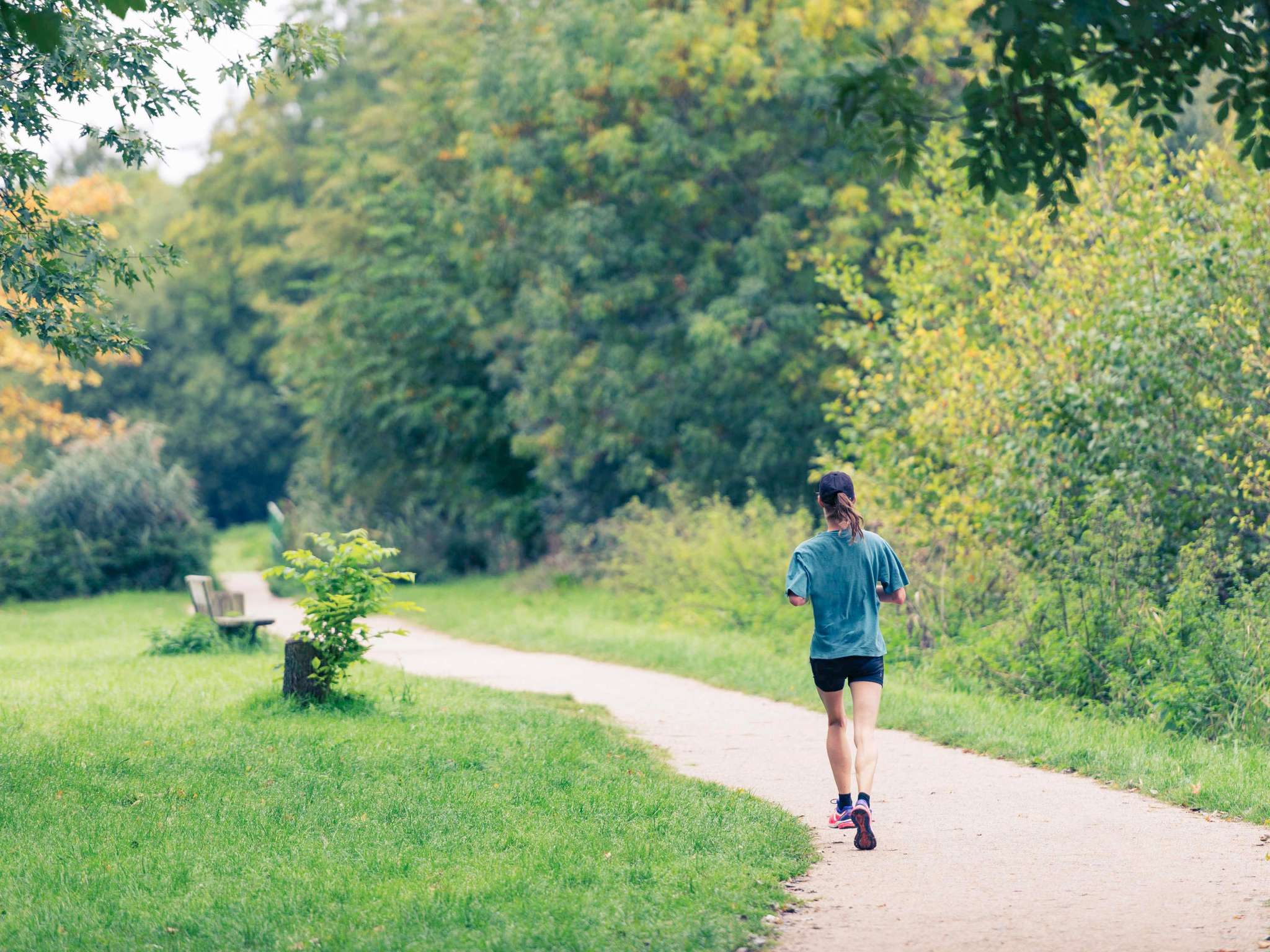 Photo - Novotel Le Mans