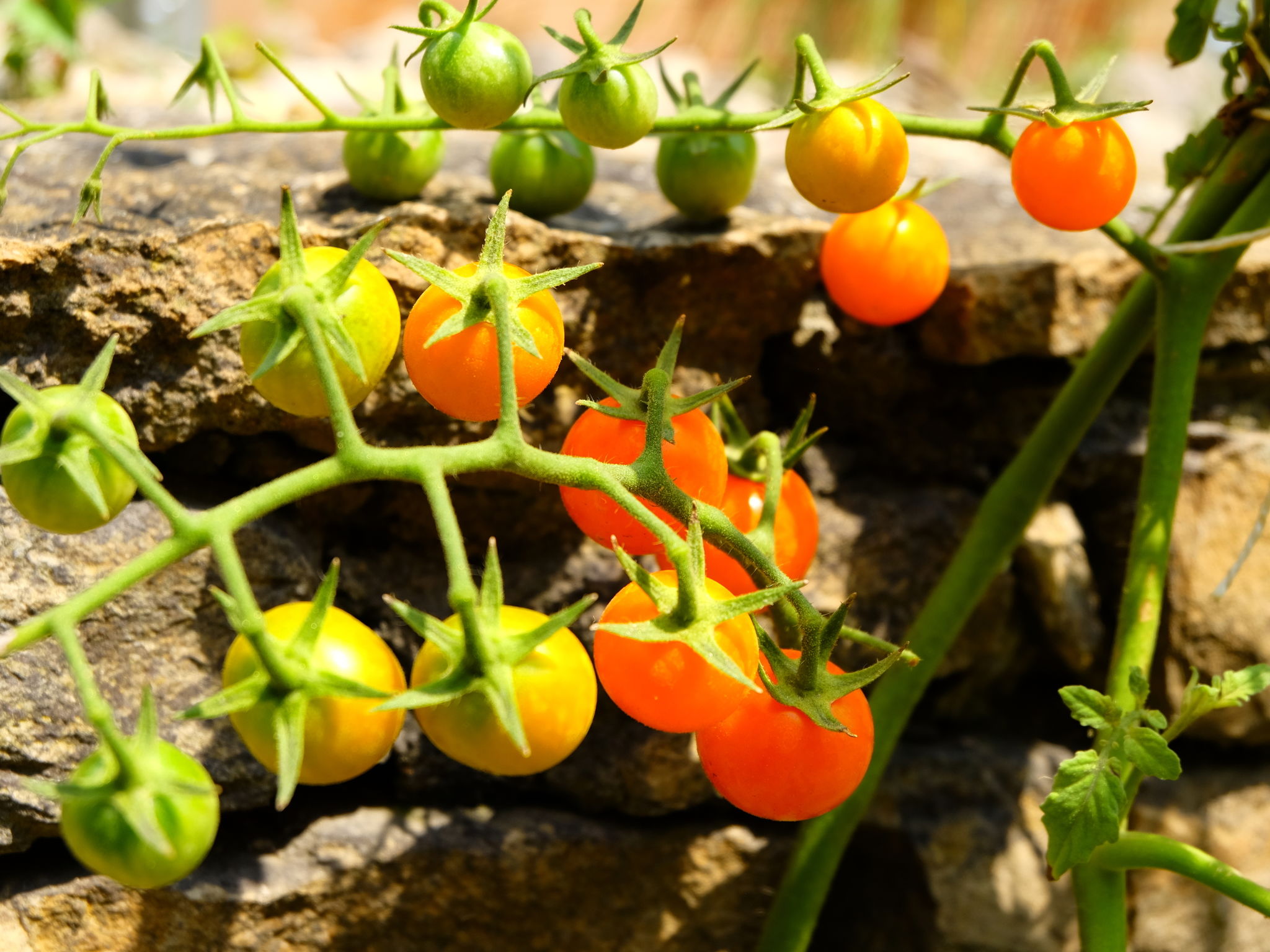 Foto - Novotel Marseille Est Porte d'Aubagne