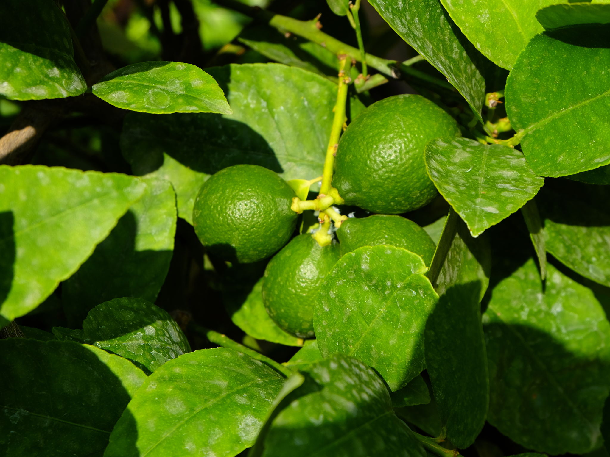 Foto - Novotel Marseille Est Porte d'Aubagne