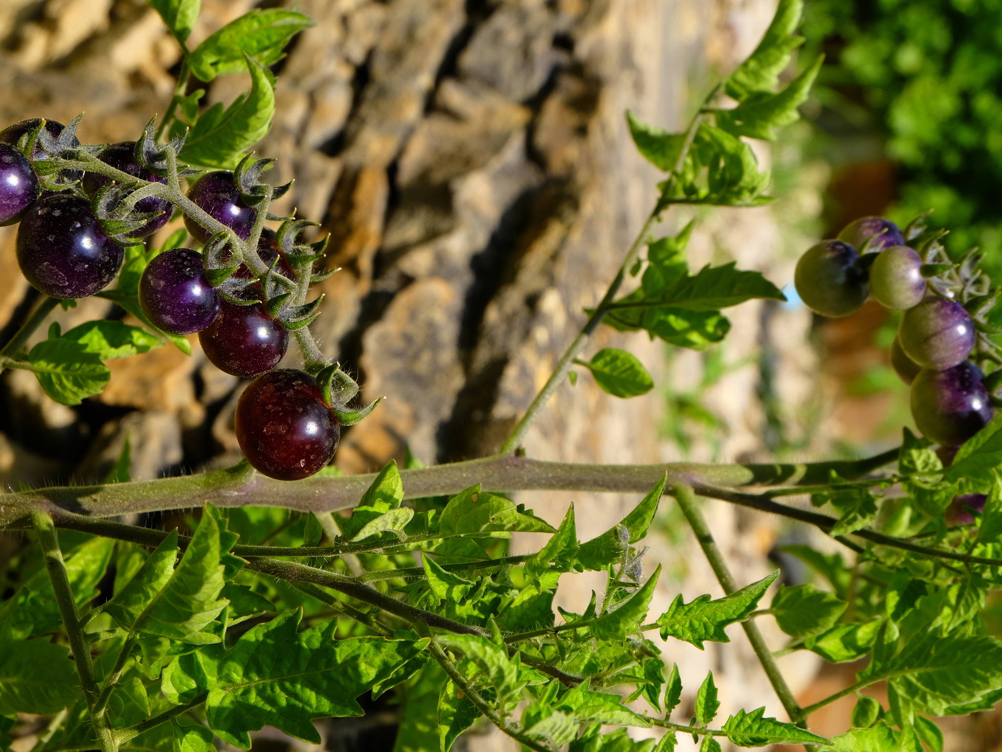 Foto - Novotel Marseille Est Porte d'Aubagne