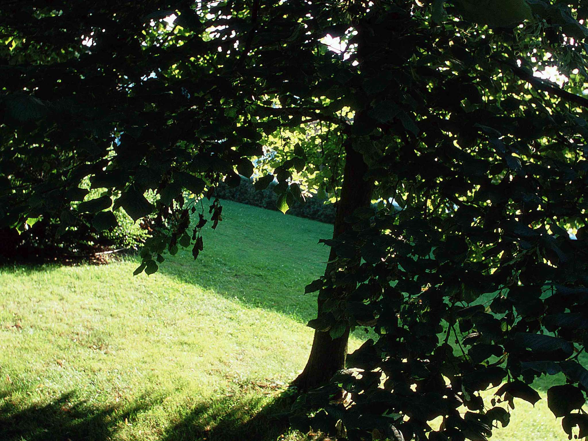 Photo - Novotel Metz Amnéville