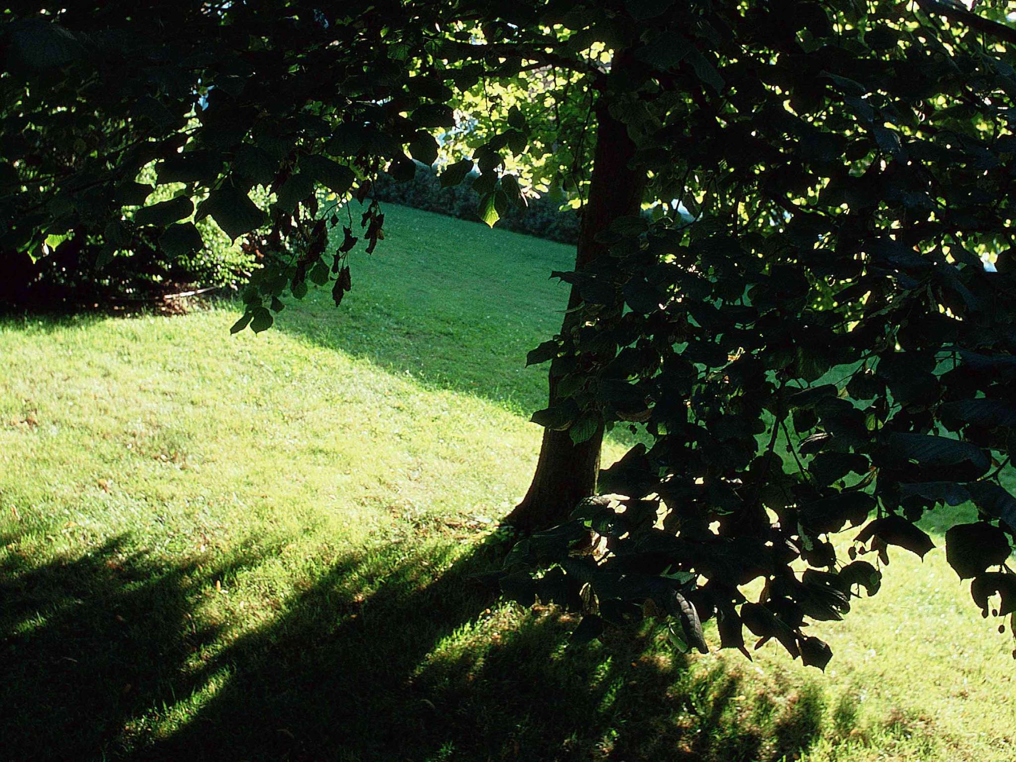 Photo - Novotel Metz Amnéville