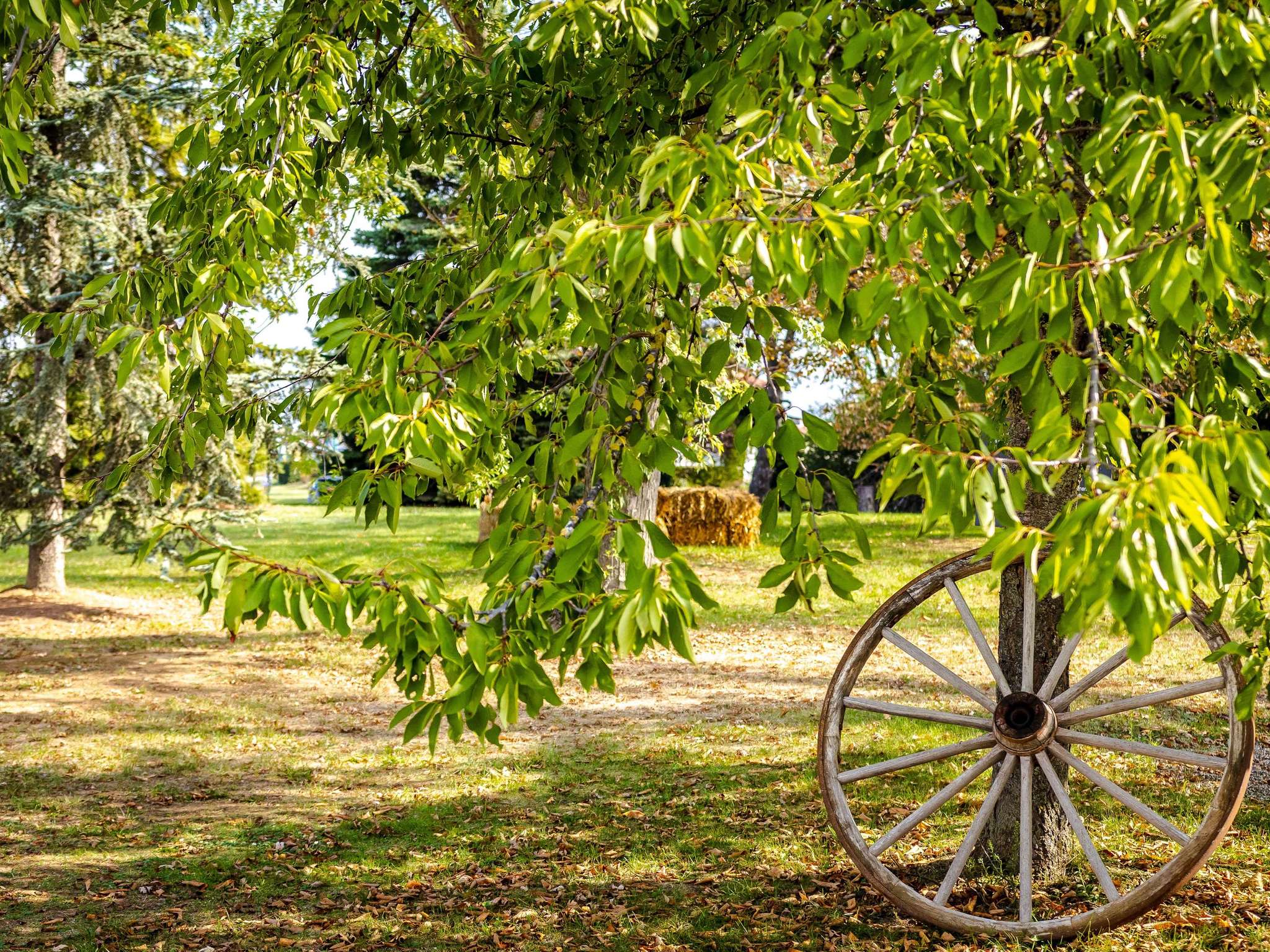Foto - Novotel Mulhouse Bâle Fribourg